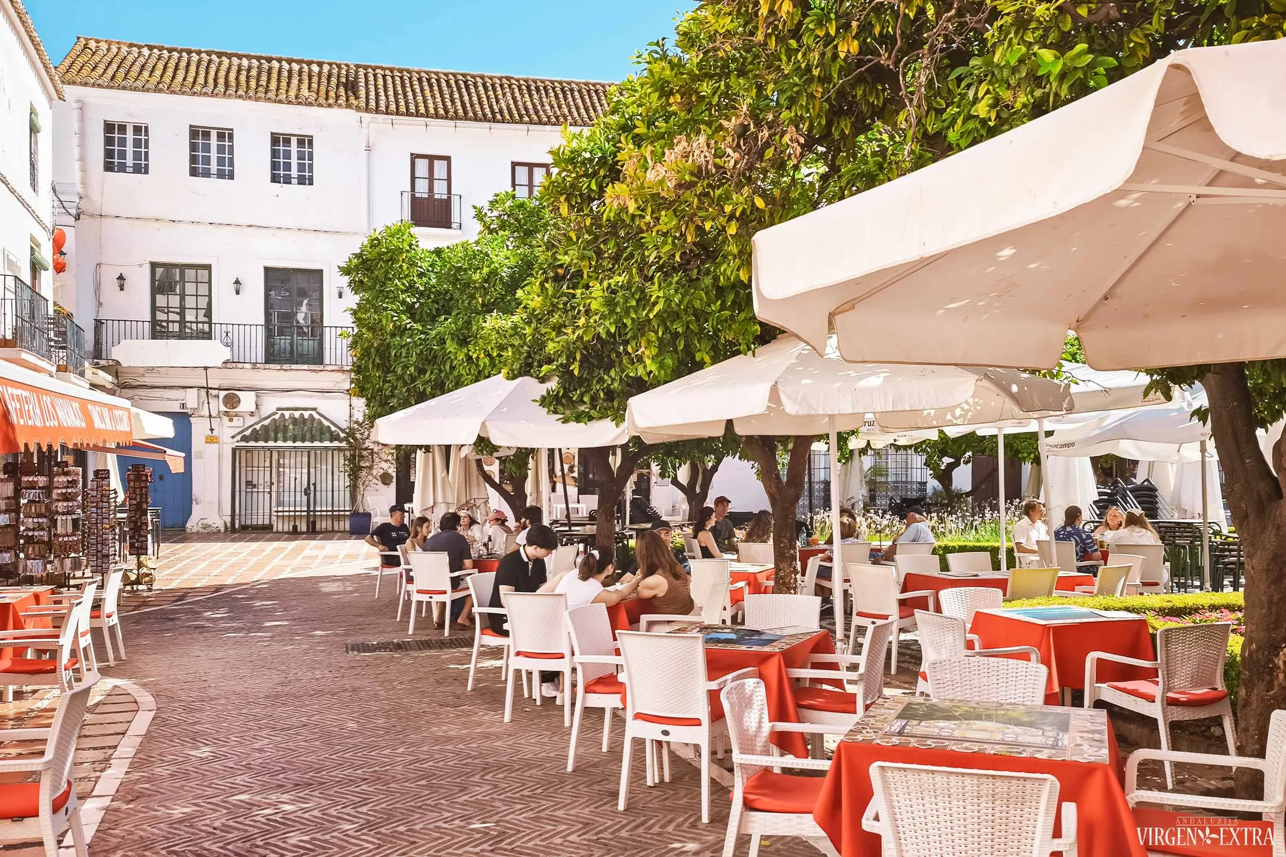Marbėja, Pietų Ispanija, Costa del Sol | Andalūzija. Virgen Extra