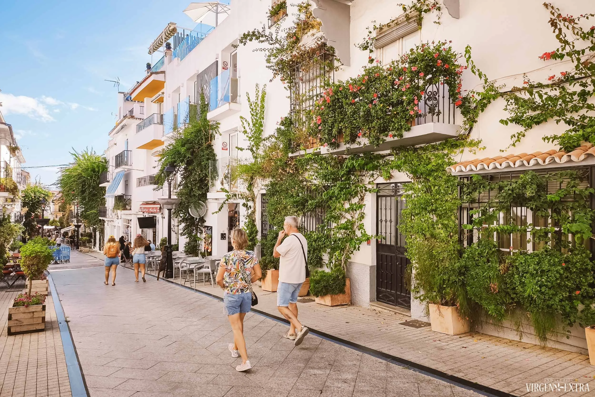 Marbėja, Pietų Ispanija, Costa del Sol | Andalūzija. Virgen Extra