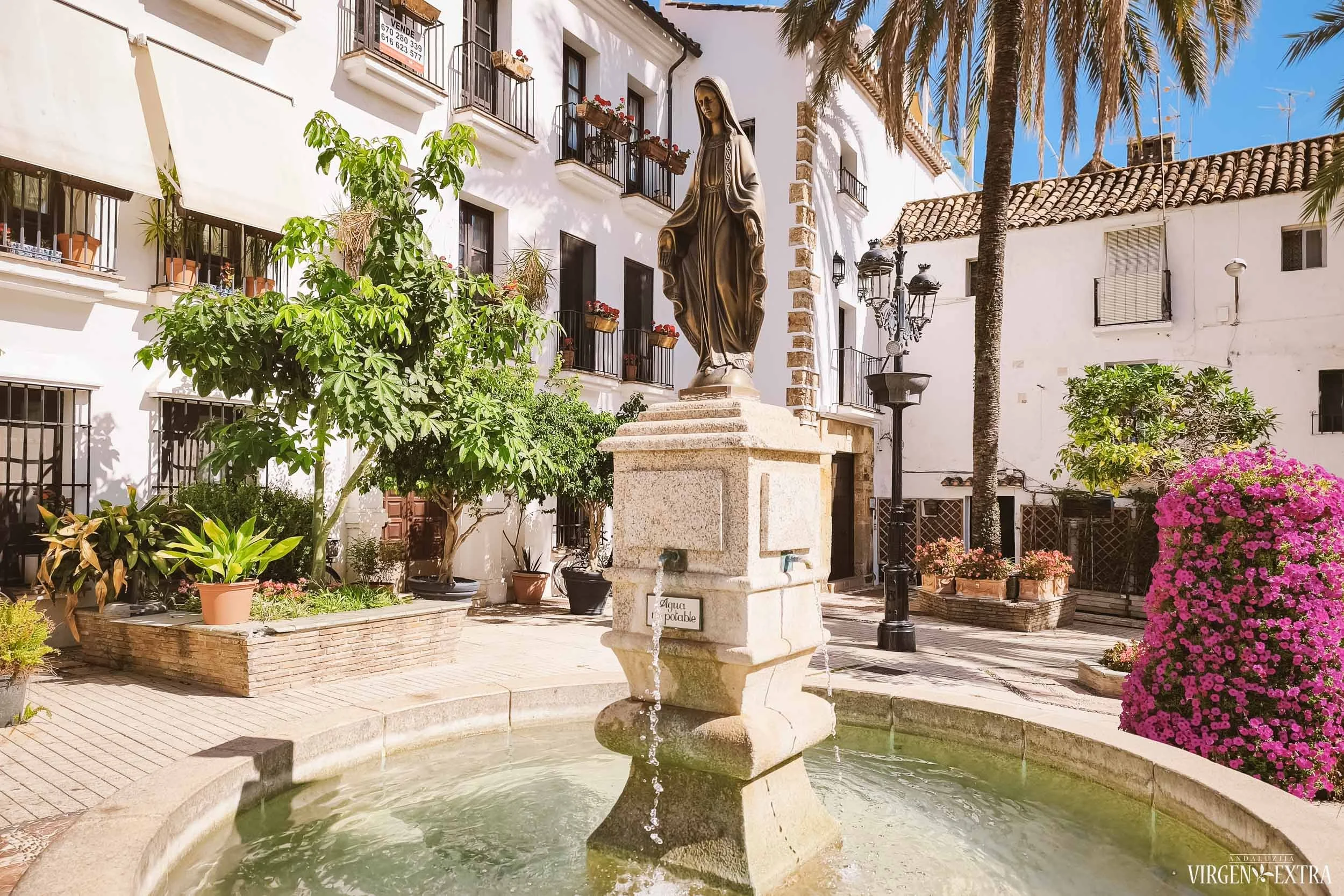 Marbėja, Pietų Ispanija, Costa del Sol | Andalūzija. Virgen Extra