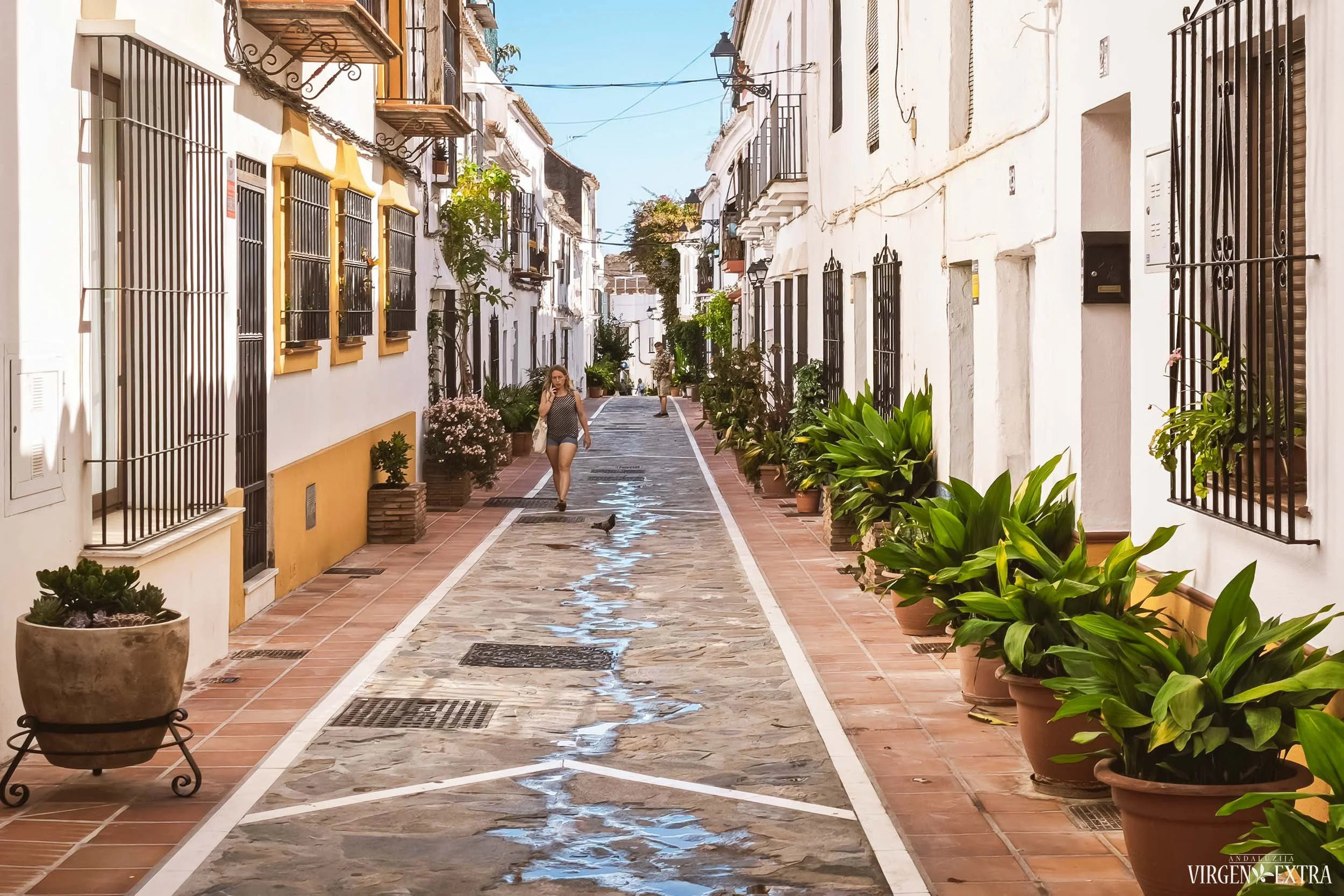 Marbėja, Pietų Ispanija, Costa del Sol | Andalūzija. Virgen Extra