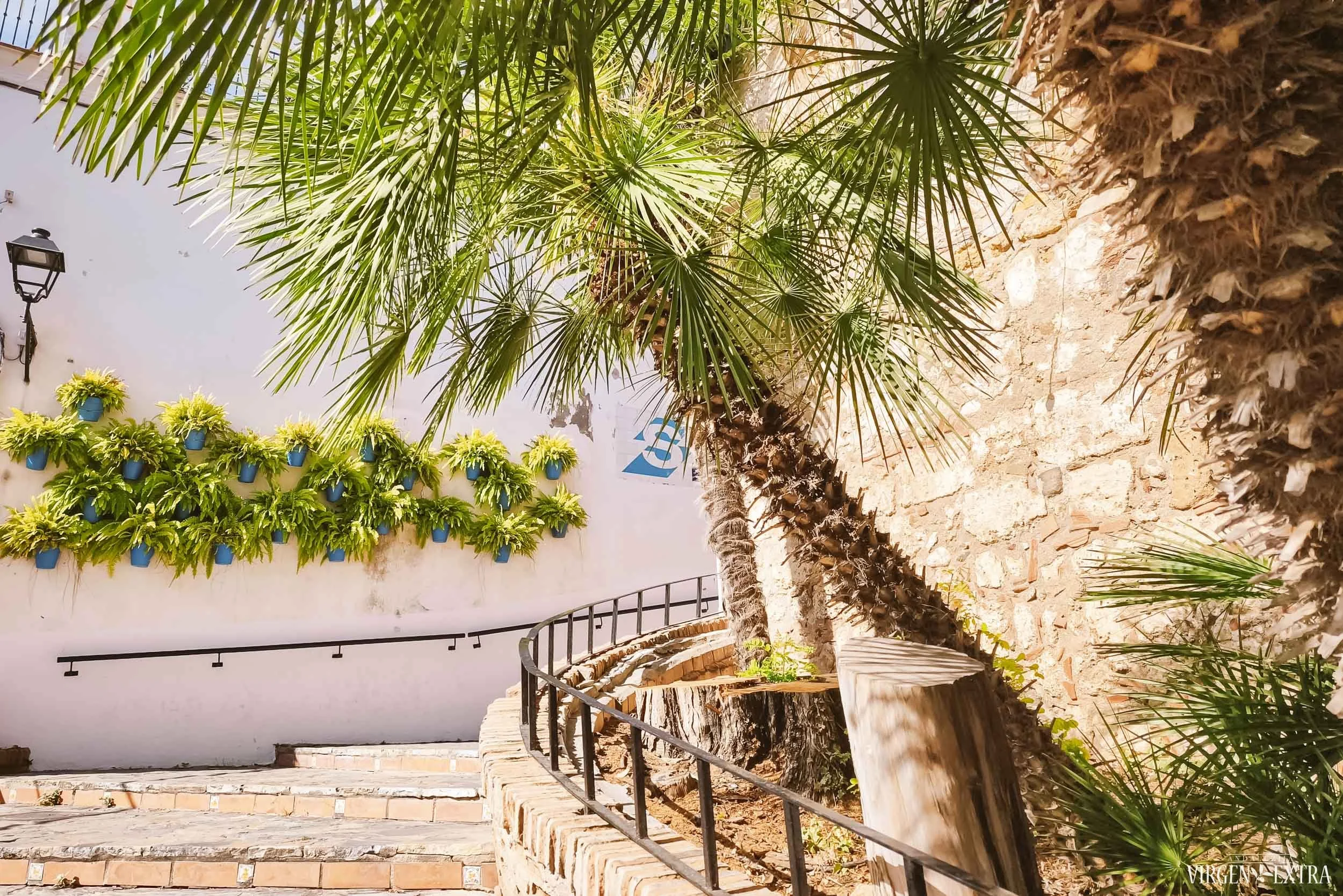 Marbėja, Pietų Ispanija, Costa del Sol | Andalūzija. Virgen Extra