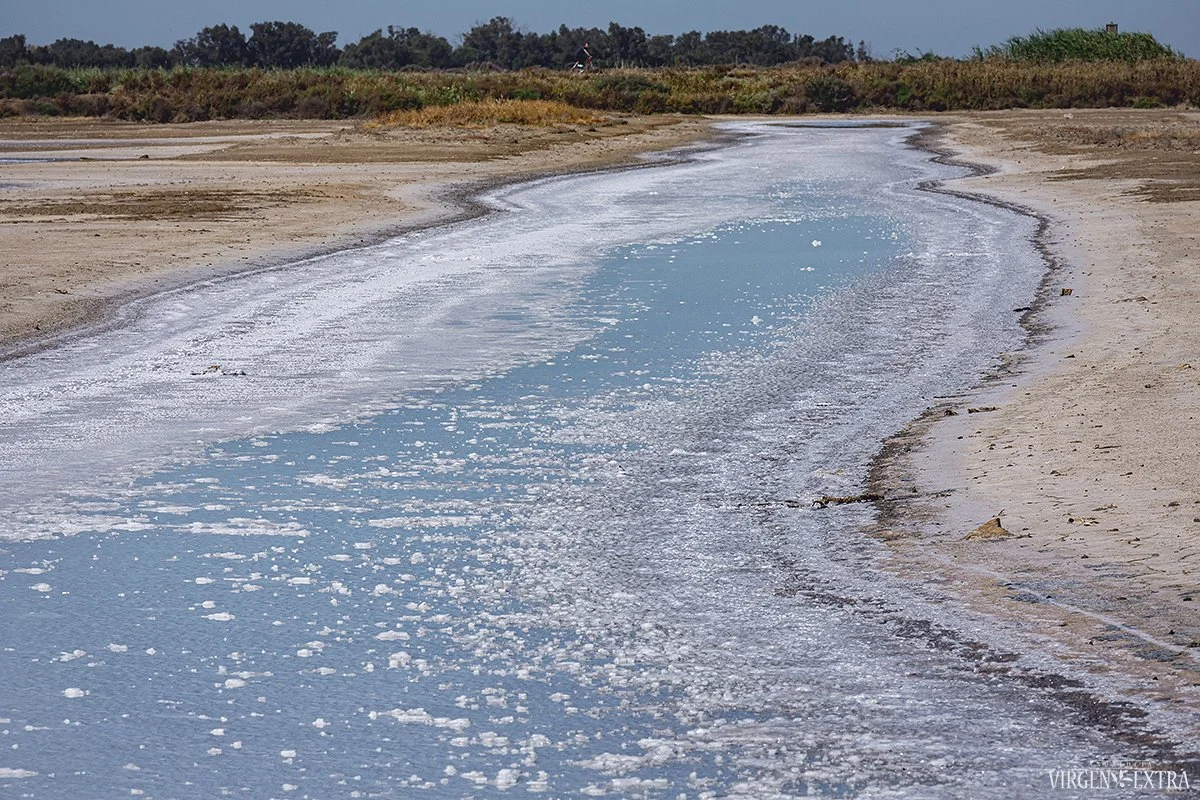 La bahía de Cádiz. Druska sidabro inde