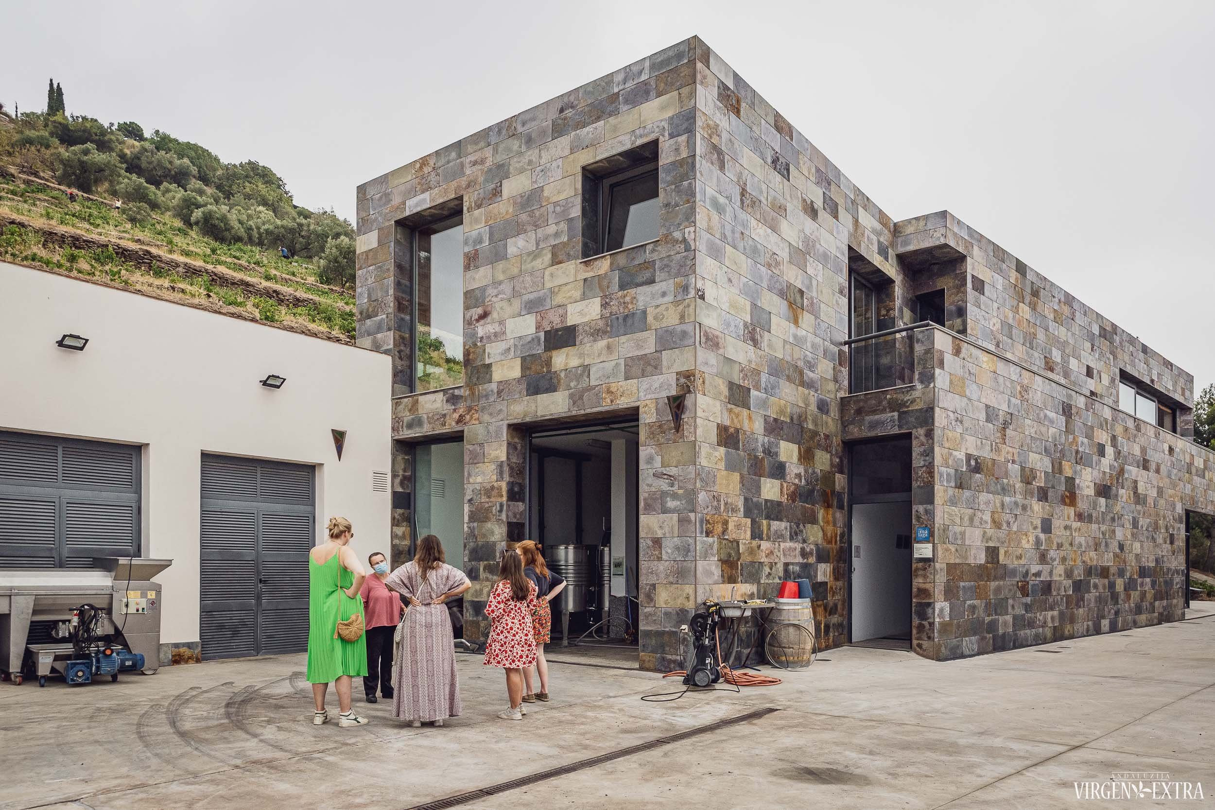 Degustacijos Andalūzijoje | Andalūzija. Virgen Extra