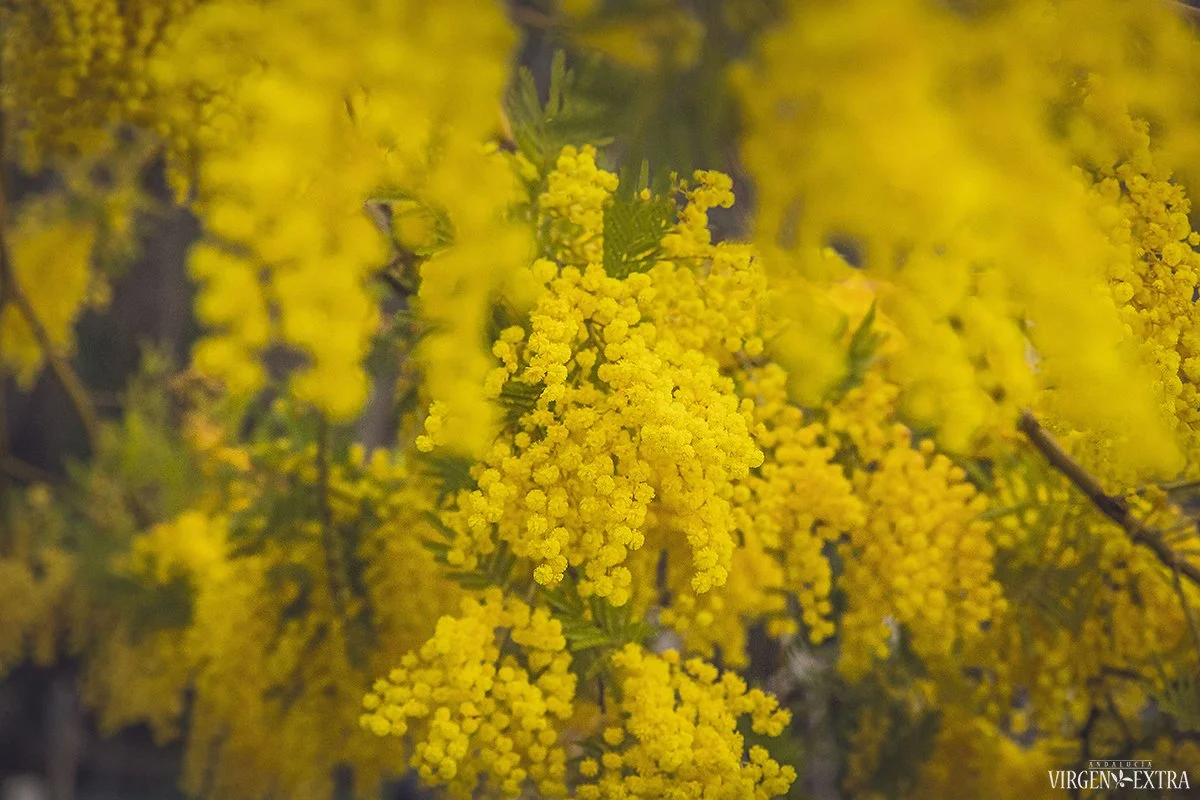 Dėmesio! – Ateina pavasaris, stebėkite ženklus