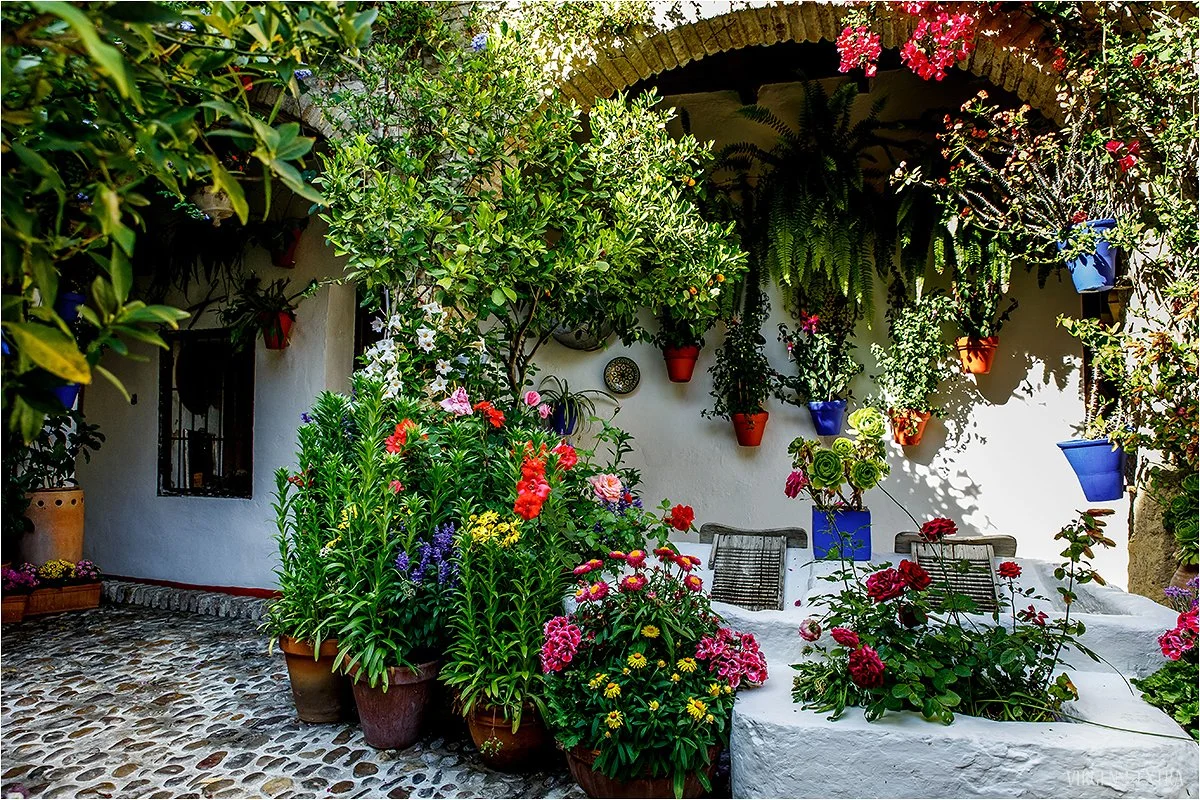 Kordobos kiemeliai | Andalūzija. Virgen Extra