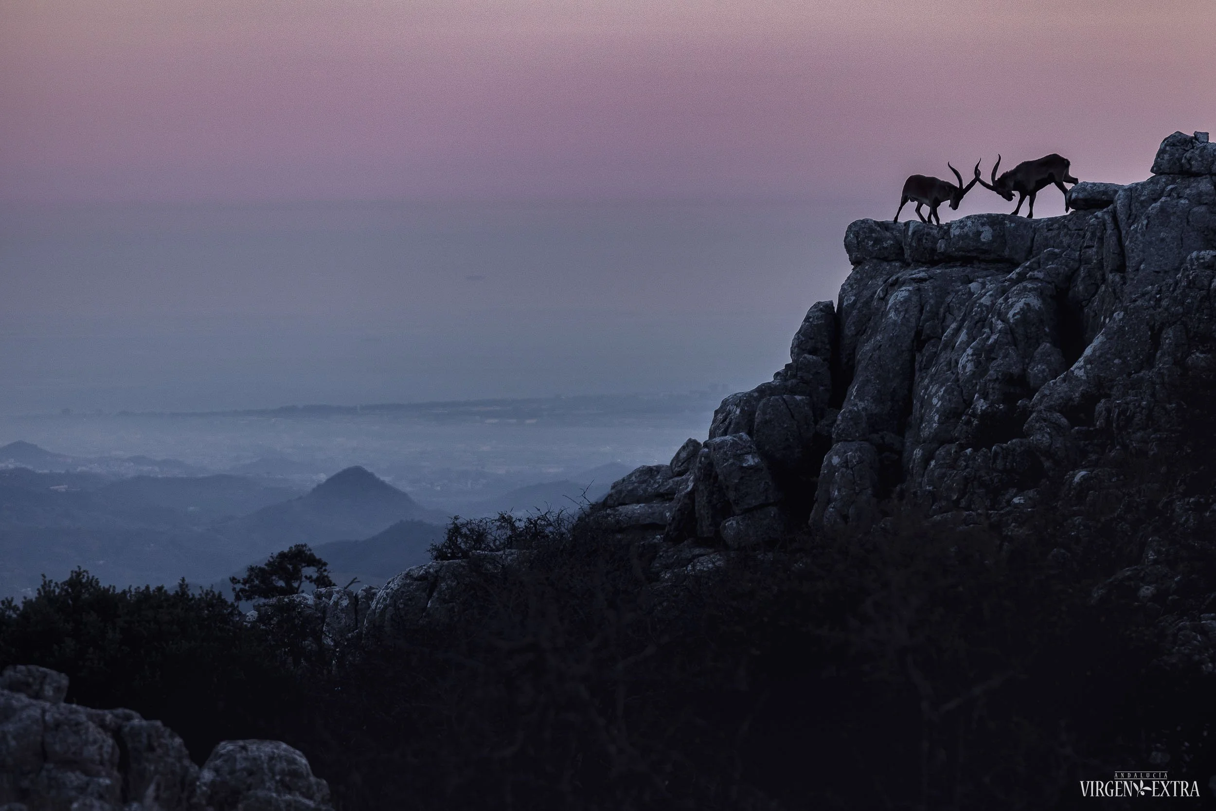 Gamtos parkai | Andalūzija. Virgen Extra
