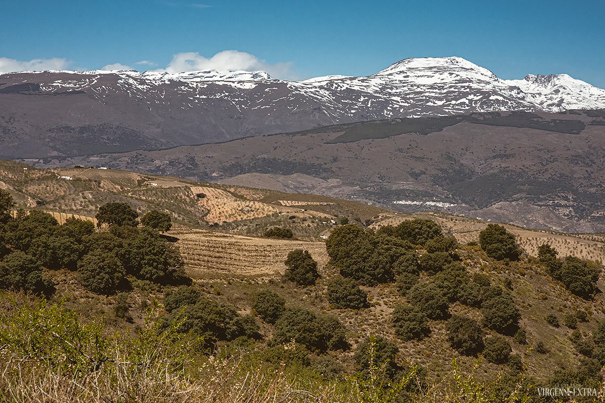 Sierra nevada kalnai ir sniegas Andalūzijoje | Andalūzija. Virgen Extra