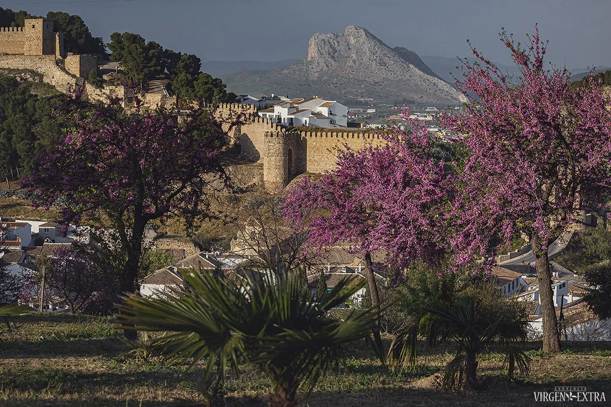 Peña de Enamorados kalnas netoli Antequera miesto tinkamas romantikai | Andalūzija. Virgen Extra