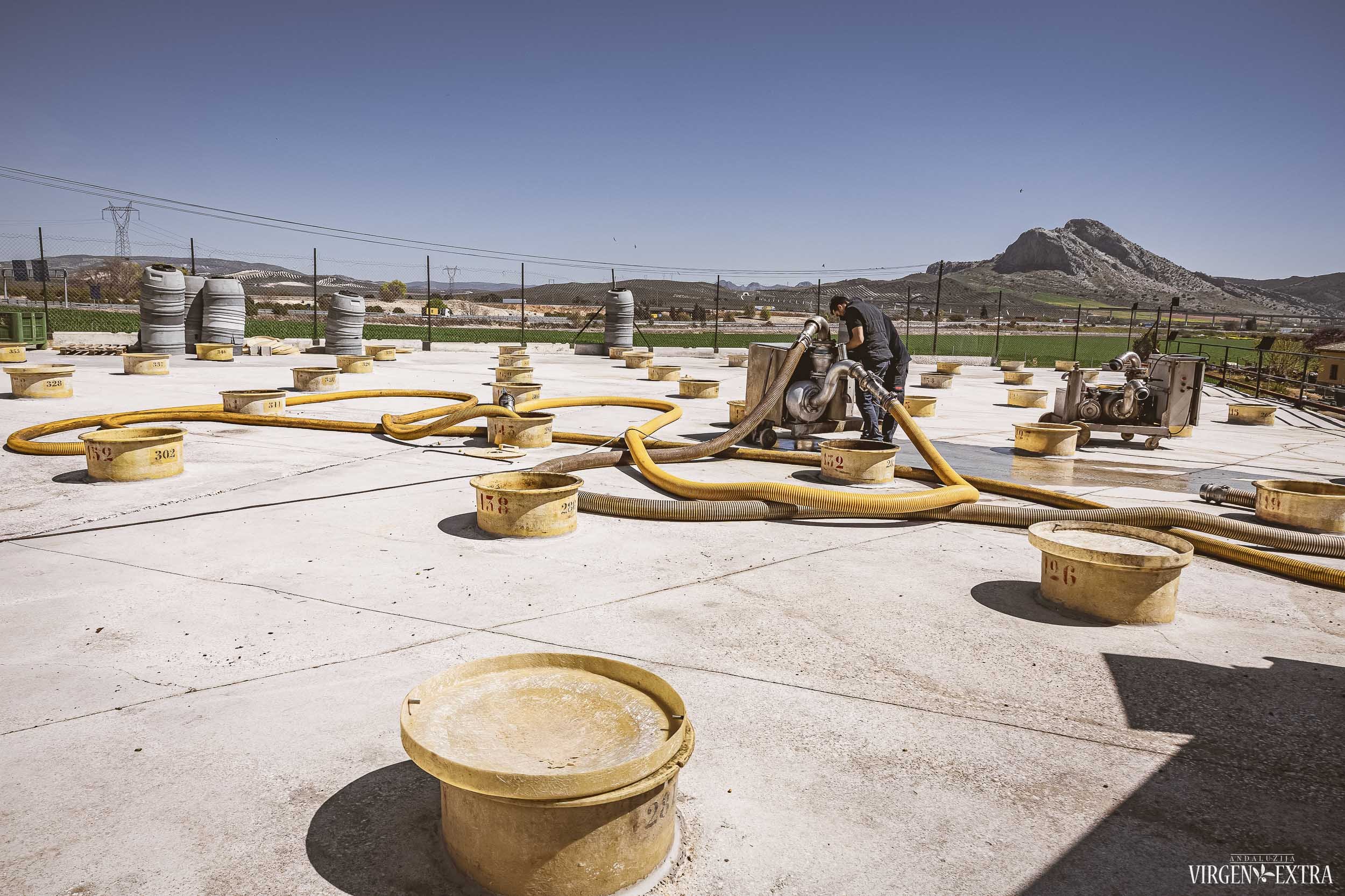 Senelės alyvuogių fabrikas