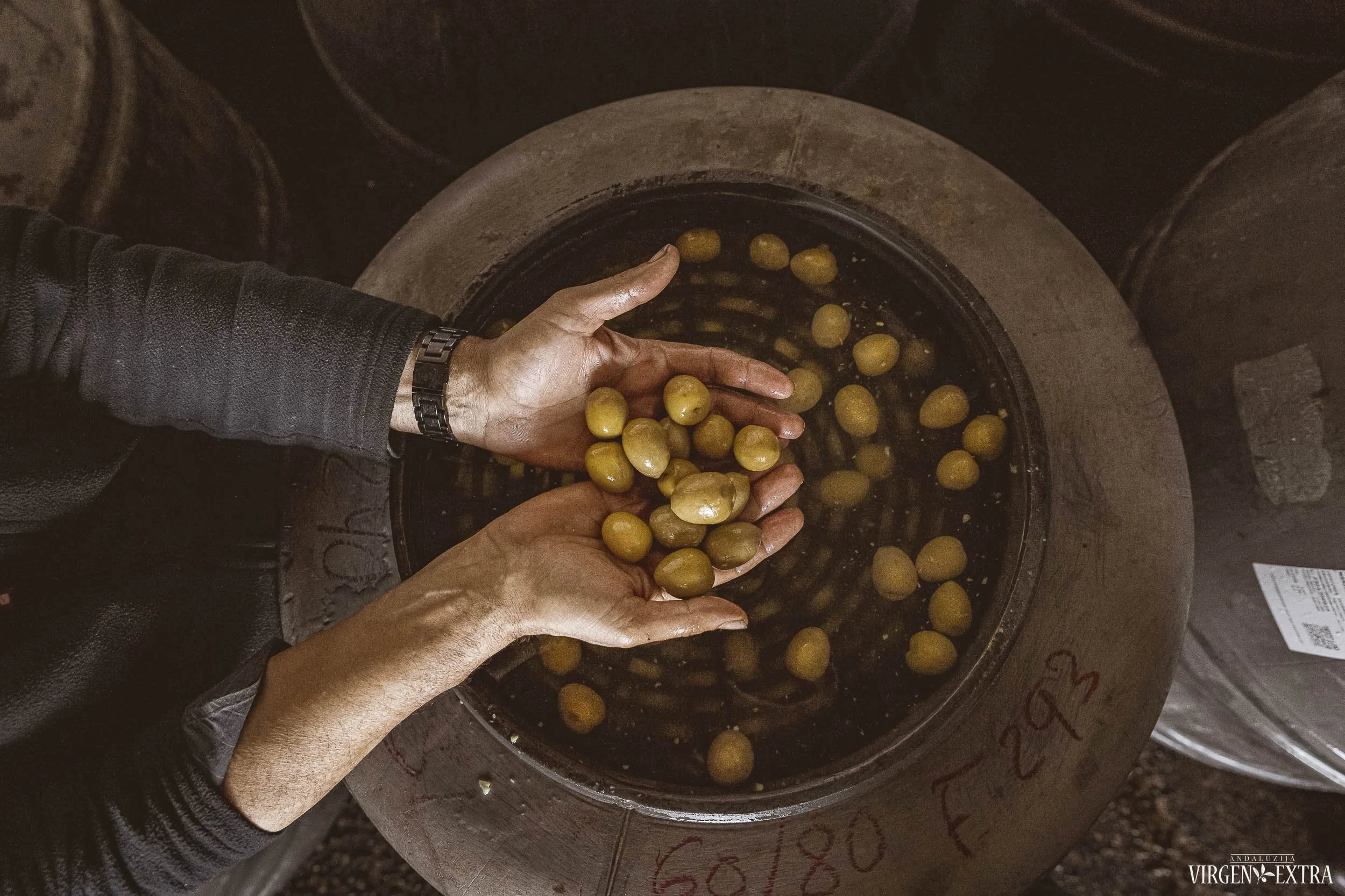 Stalo alyvuogės | Andalūzija. Virgen Extra