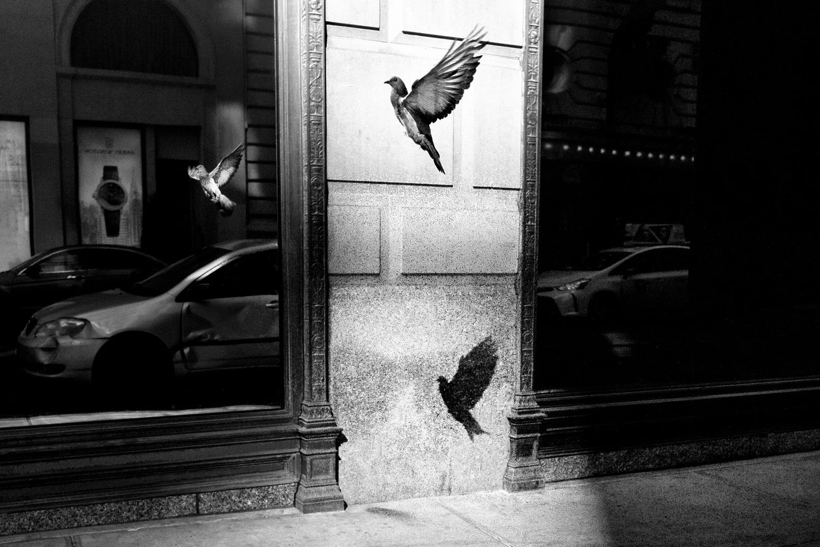 Alan Schaller Selection - 19.jpg