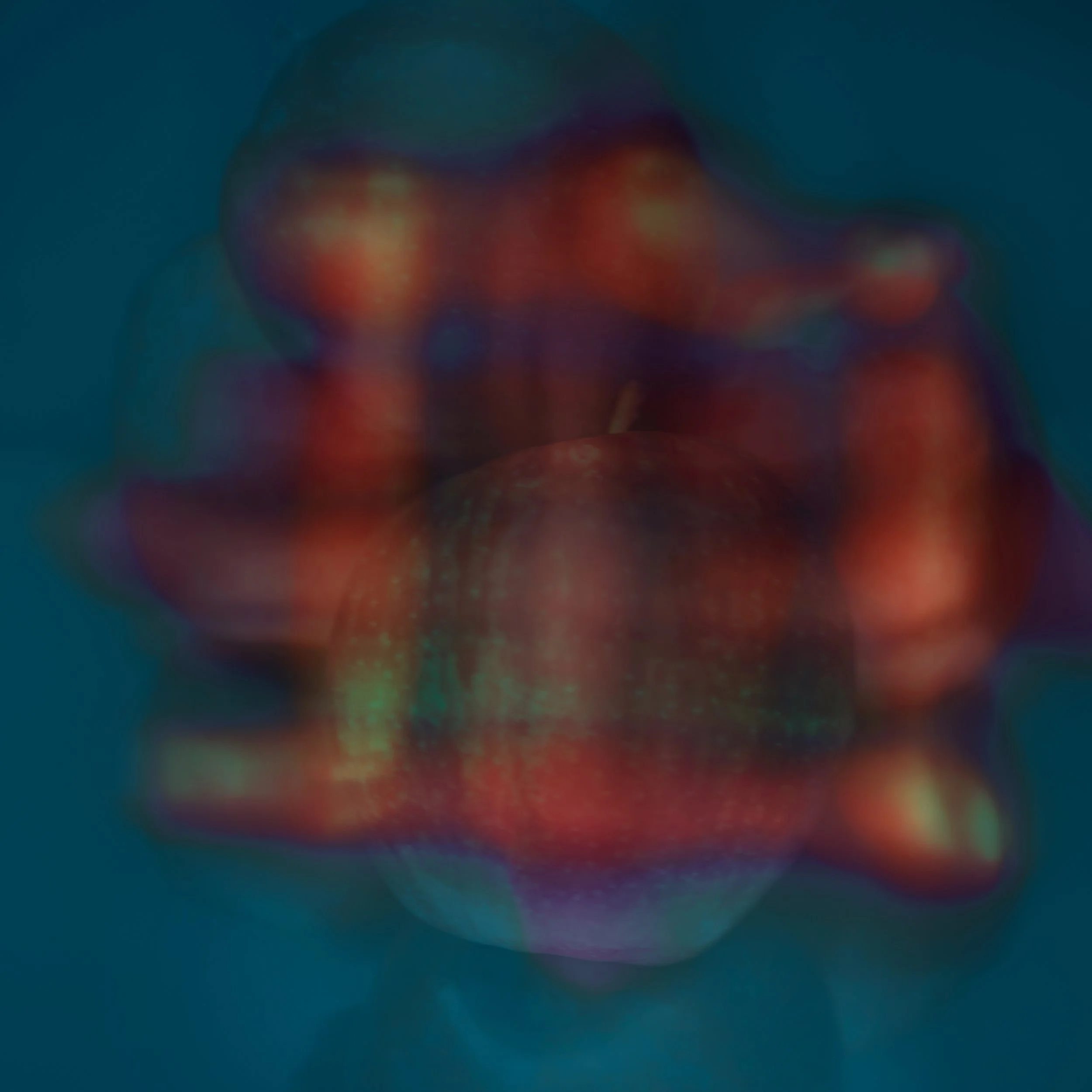 Close-up of some red and orange berries against a blurred background with shades of blue and purple.