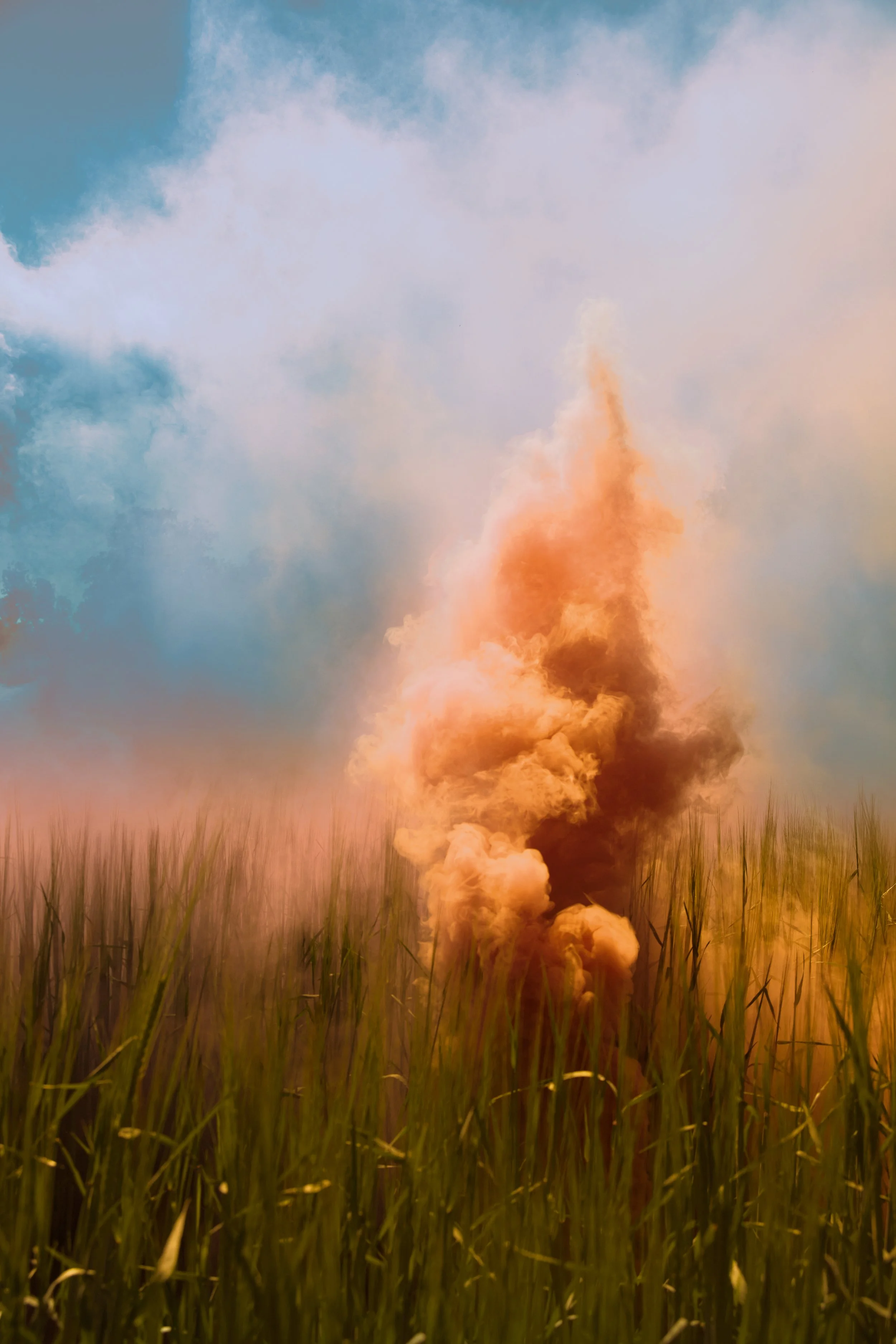 A rural landscape with tall grass in the foreground and a cloud of orange smoke rising into the sky.