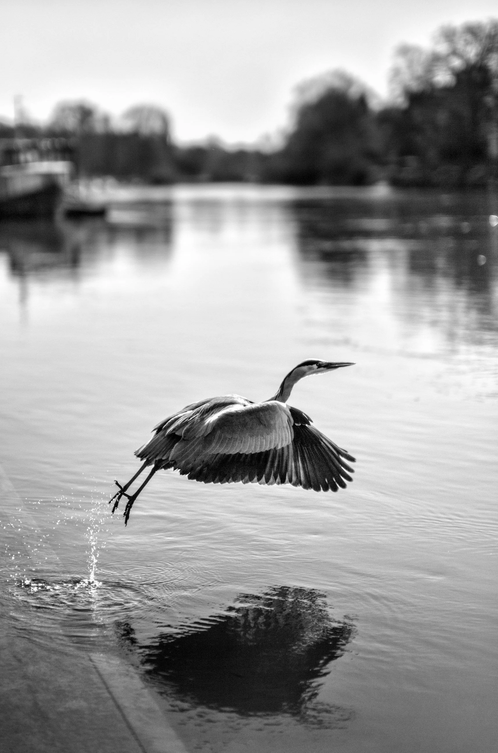 Alan Schaller Selection - 38.jpg