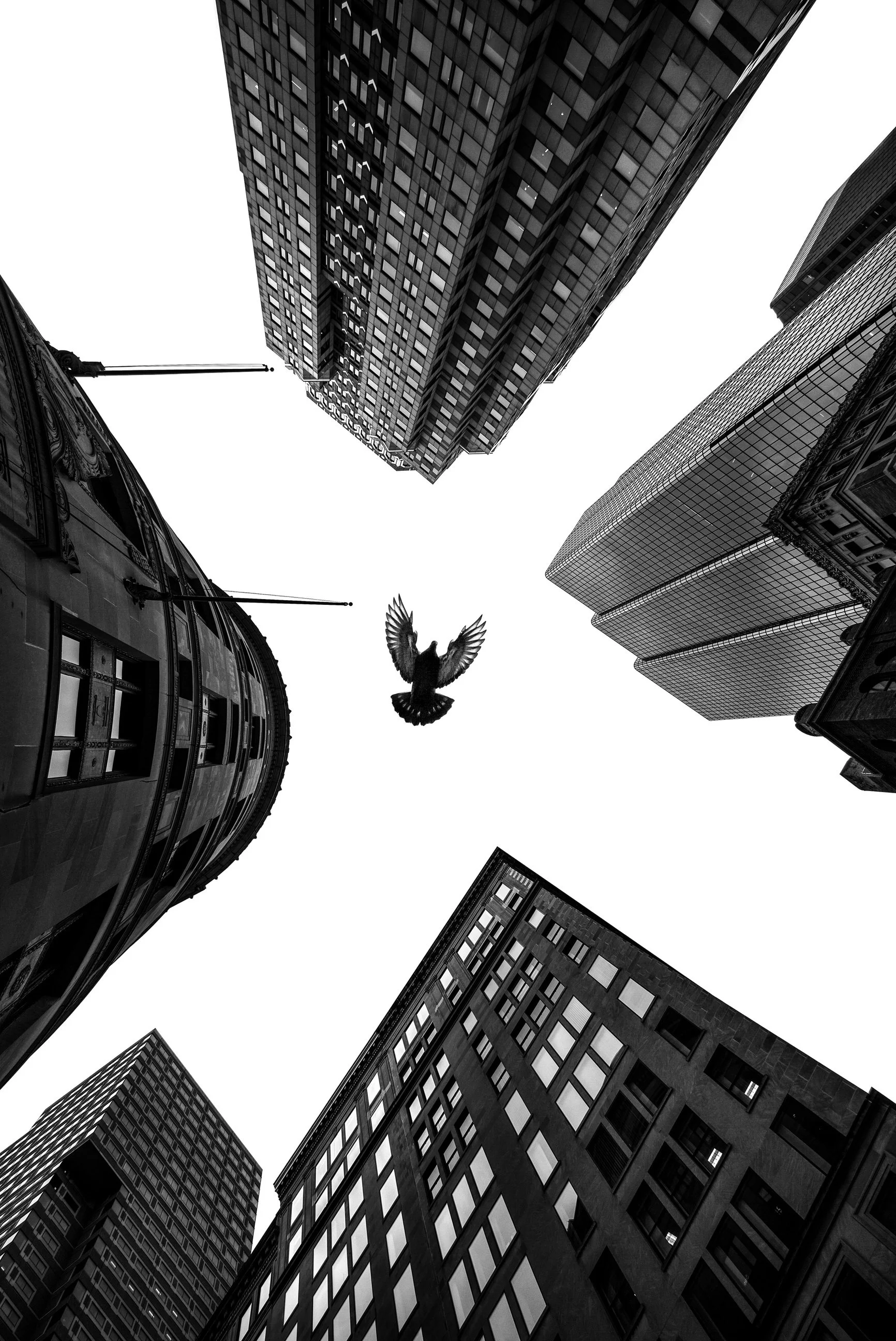 Alan Schaller Selection - 10.jpg