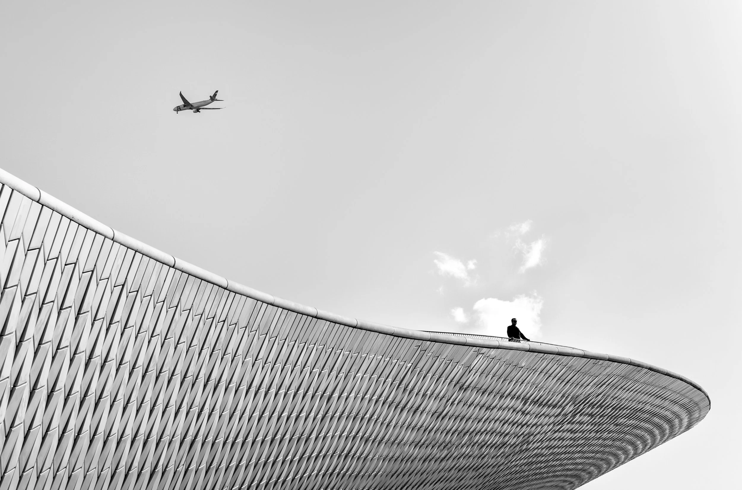 Alan Schaller Selection - 4.jpg