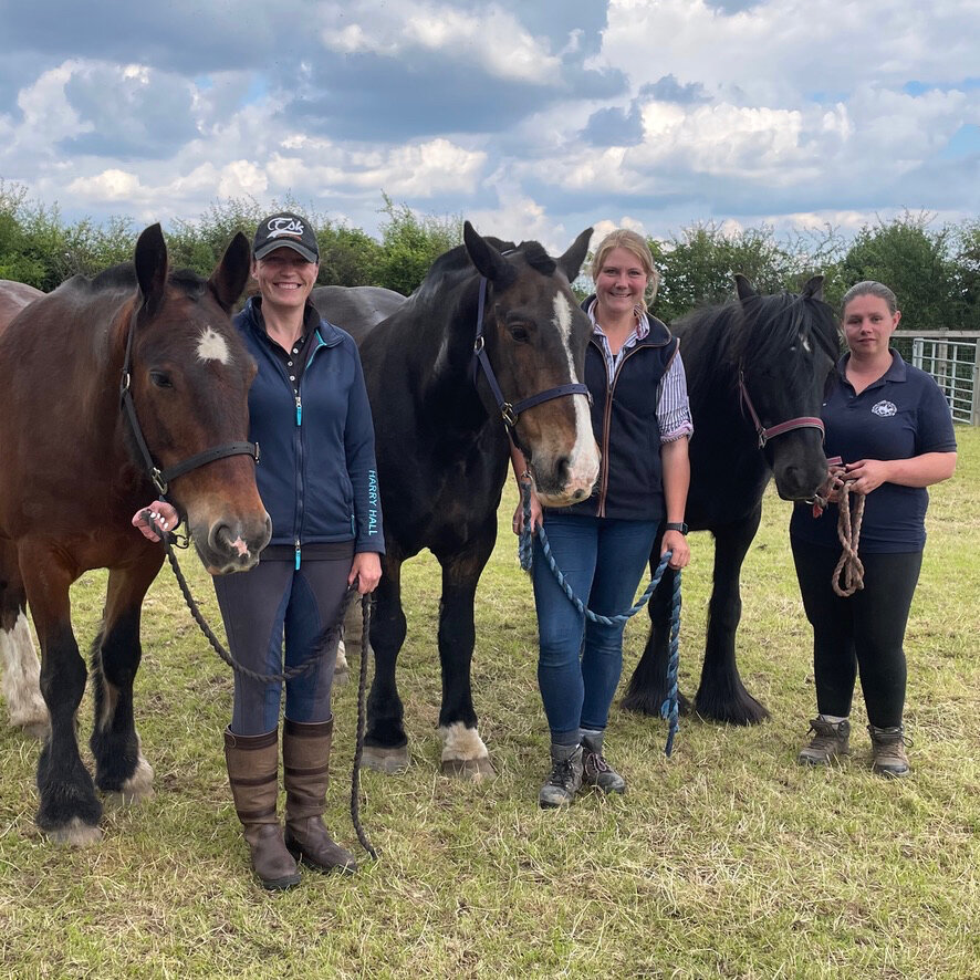 General 1 — Scropton Horse Centre