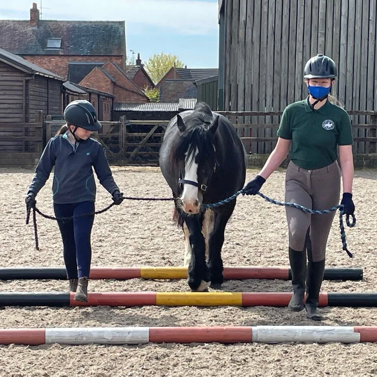 General 2 — Scropton Horse Centre