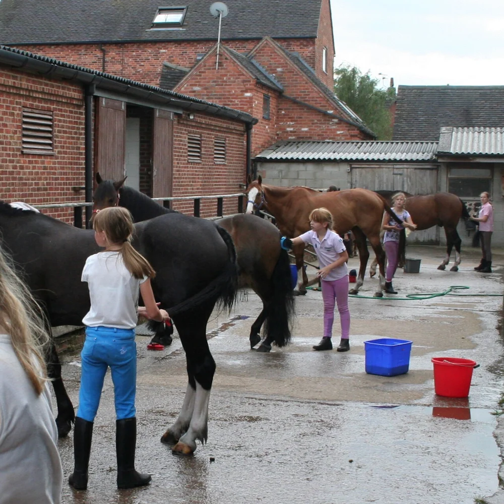 Horse Care — Scropton Horse Centre