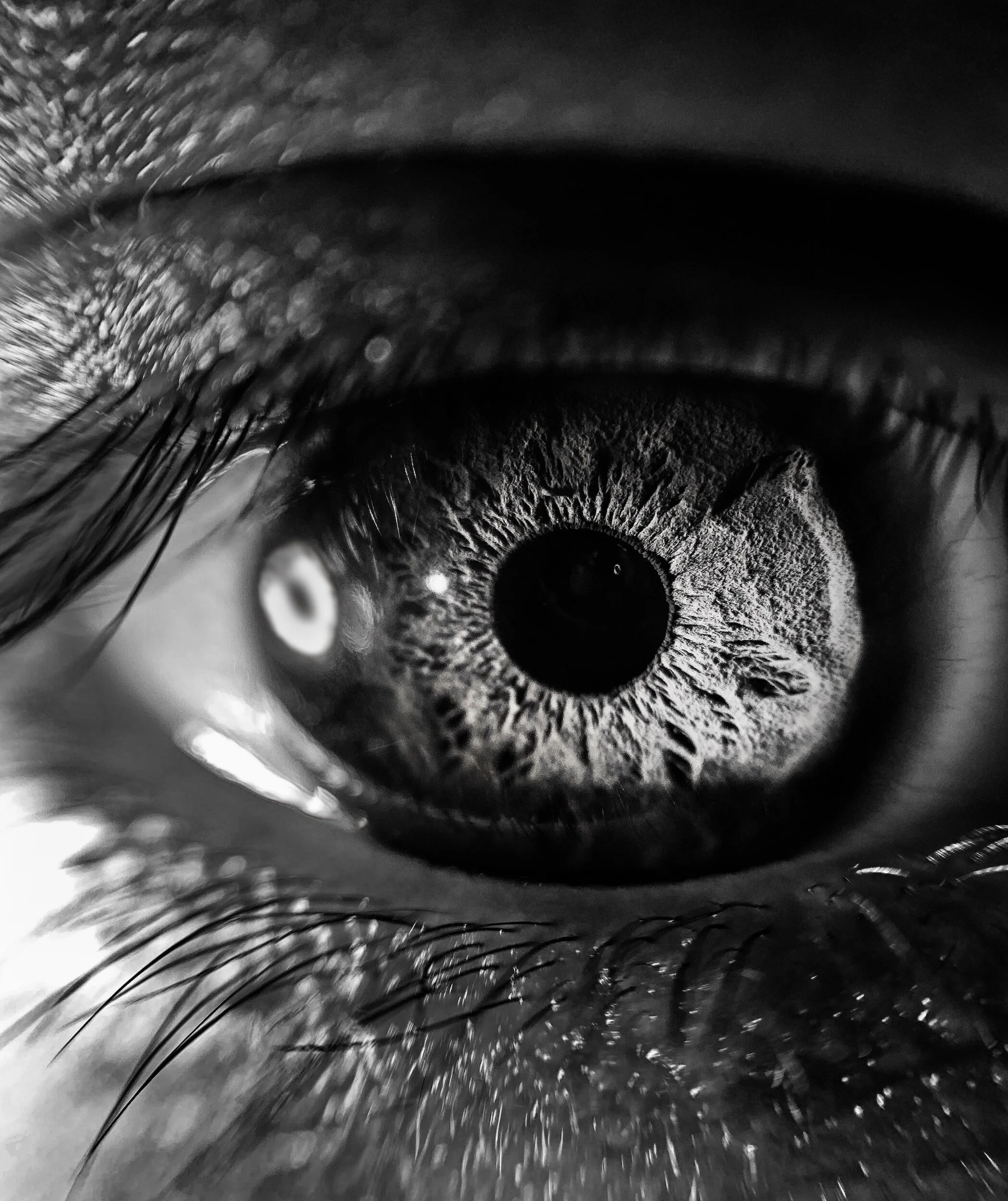 Close-up black-and-white photograph of a human eye, showing detailed iris, pupil, eyelashes, and surrounding skin.