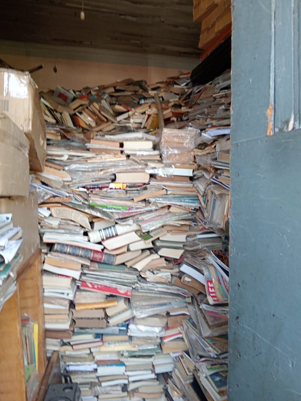 The Shadow of the Wind – When Books Move and Time Is Hidden in Chile
