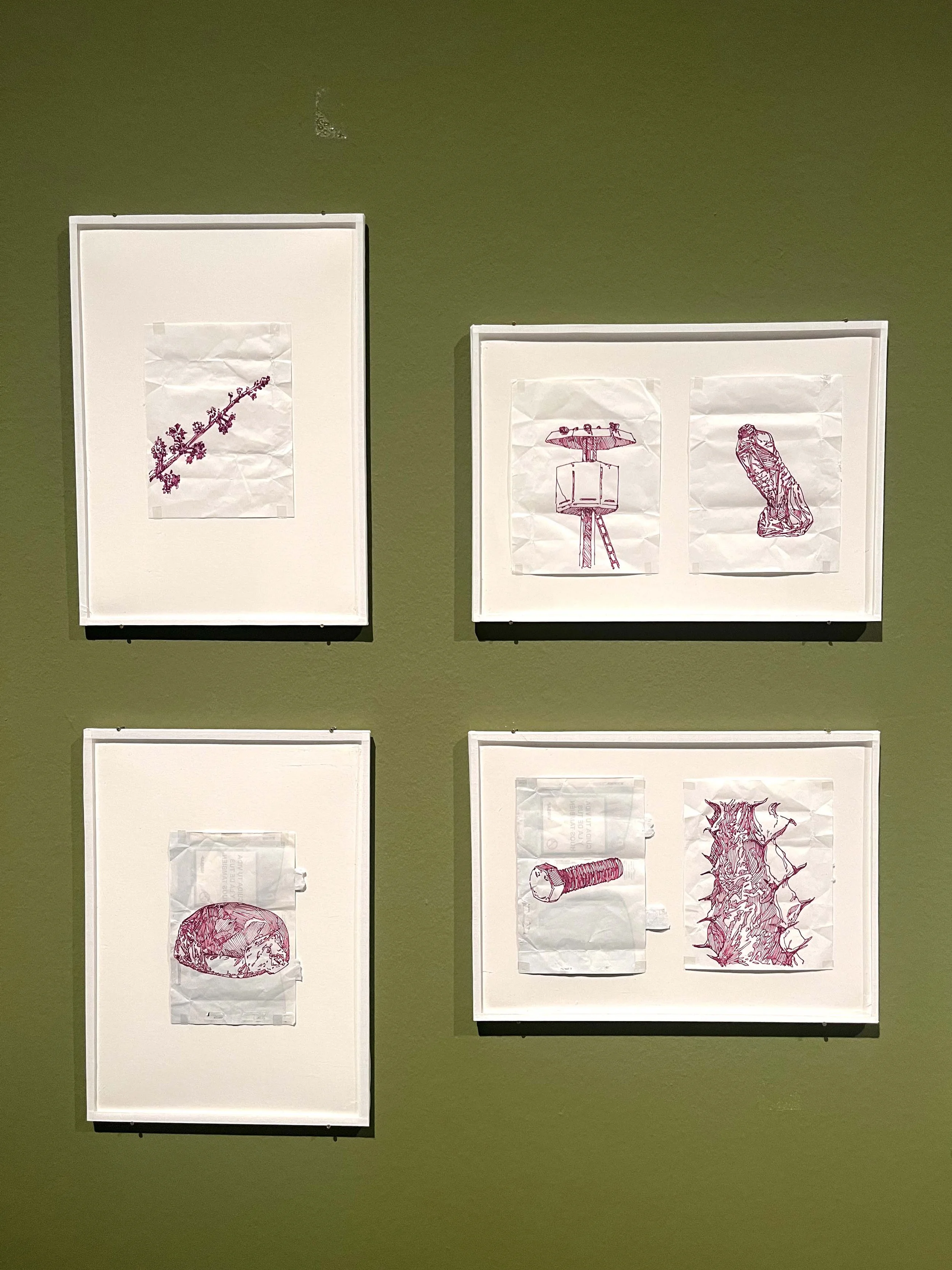 IMG_3820 kopiera.jpg