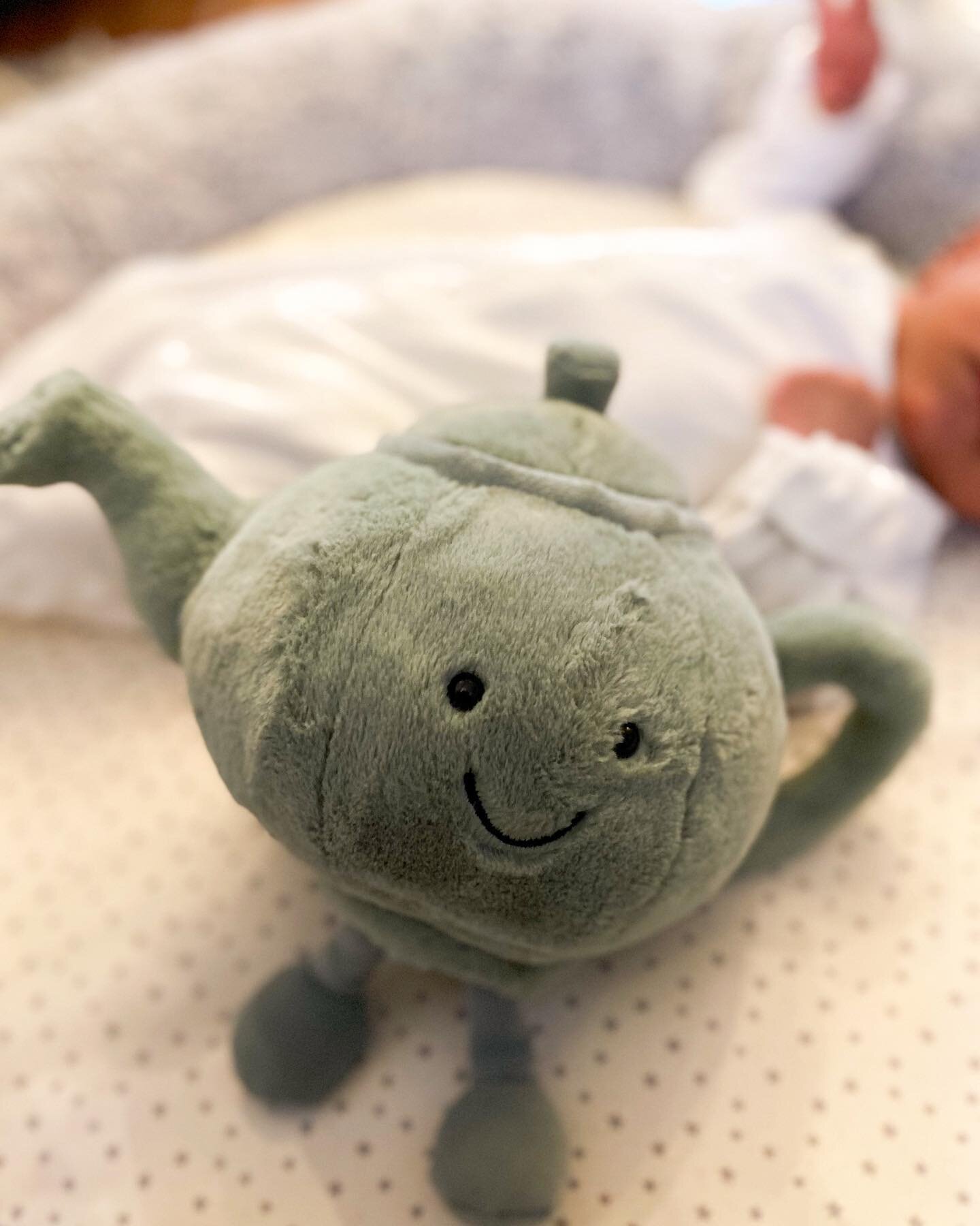 Hi, it&rsquo;s Tea &amp; Mini Me 💚✨ 

He&rsquo;s here, well he&rsquo;s been here for a month now and I&rsquo;ve been taking some much needed time off! 

Just wanted to introduce him and thank those of you for bearing with us with your orders and com
