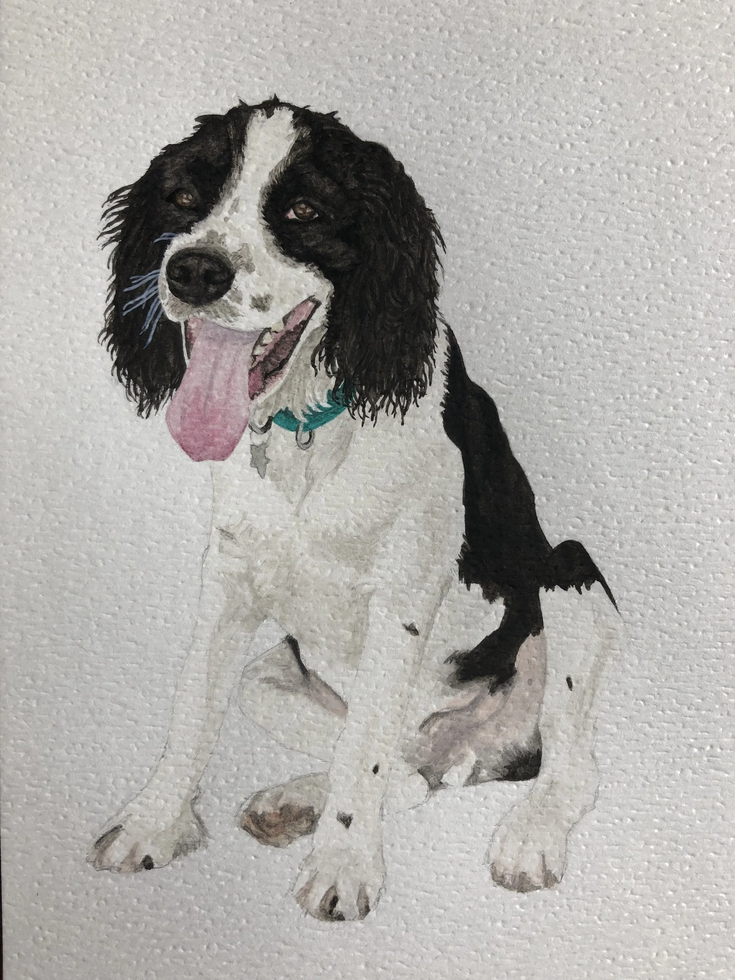 black and white pup portrait.jpg