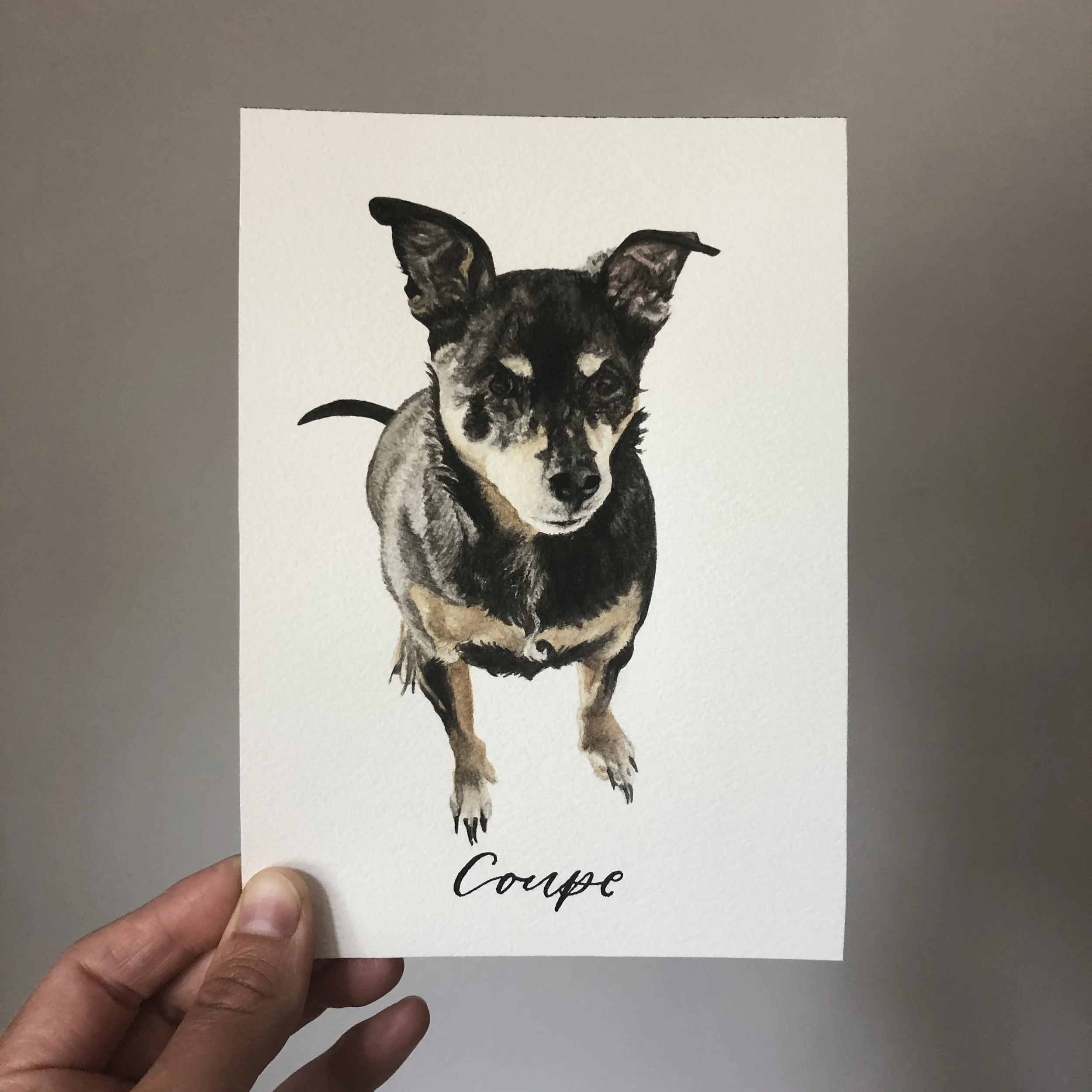 Coupe Watercolor Deceased Pet Commemorative Portrait.jpg