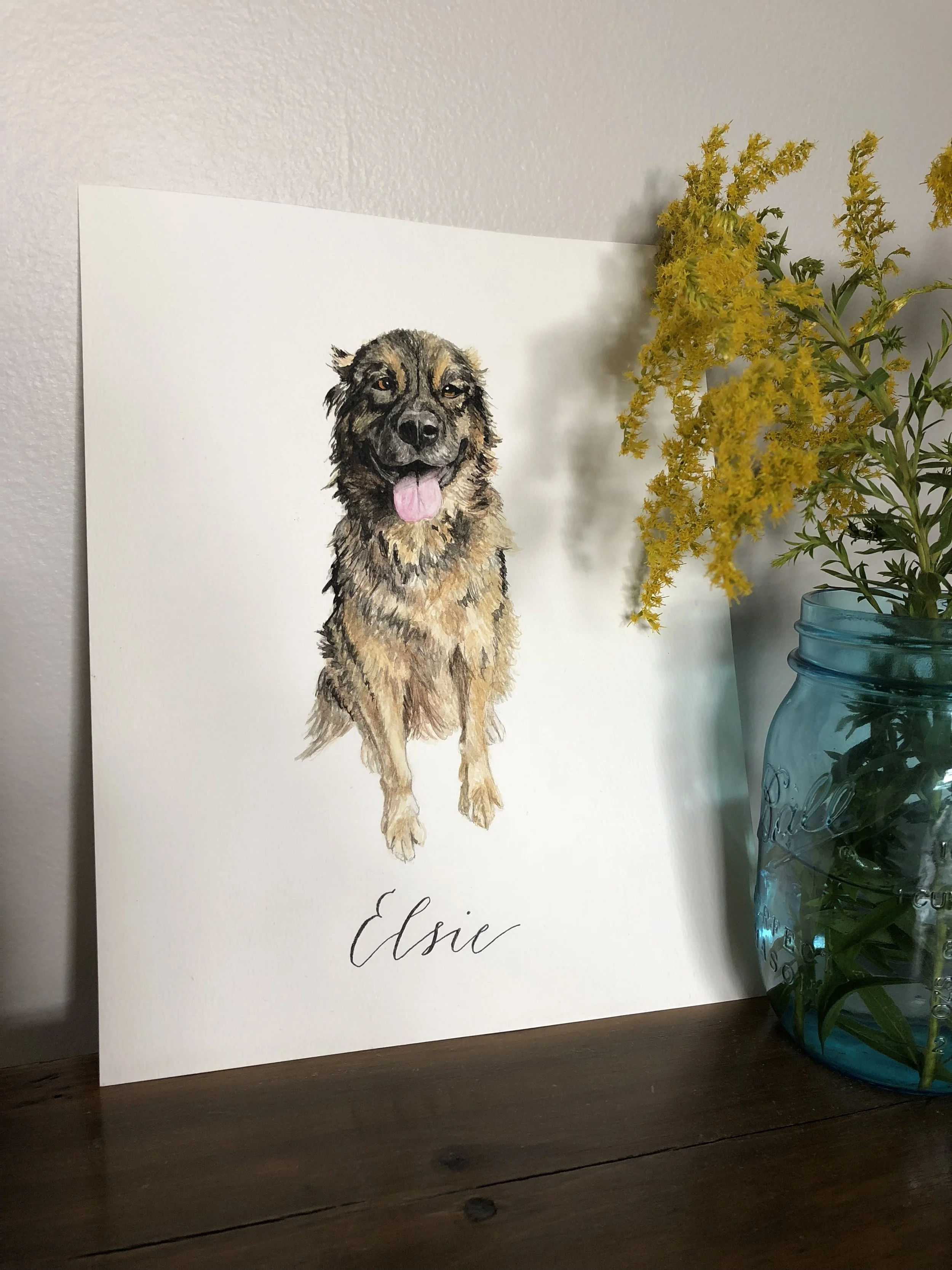 elsie dog illustration 6.jpg