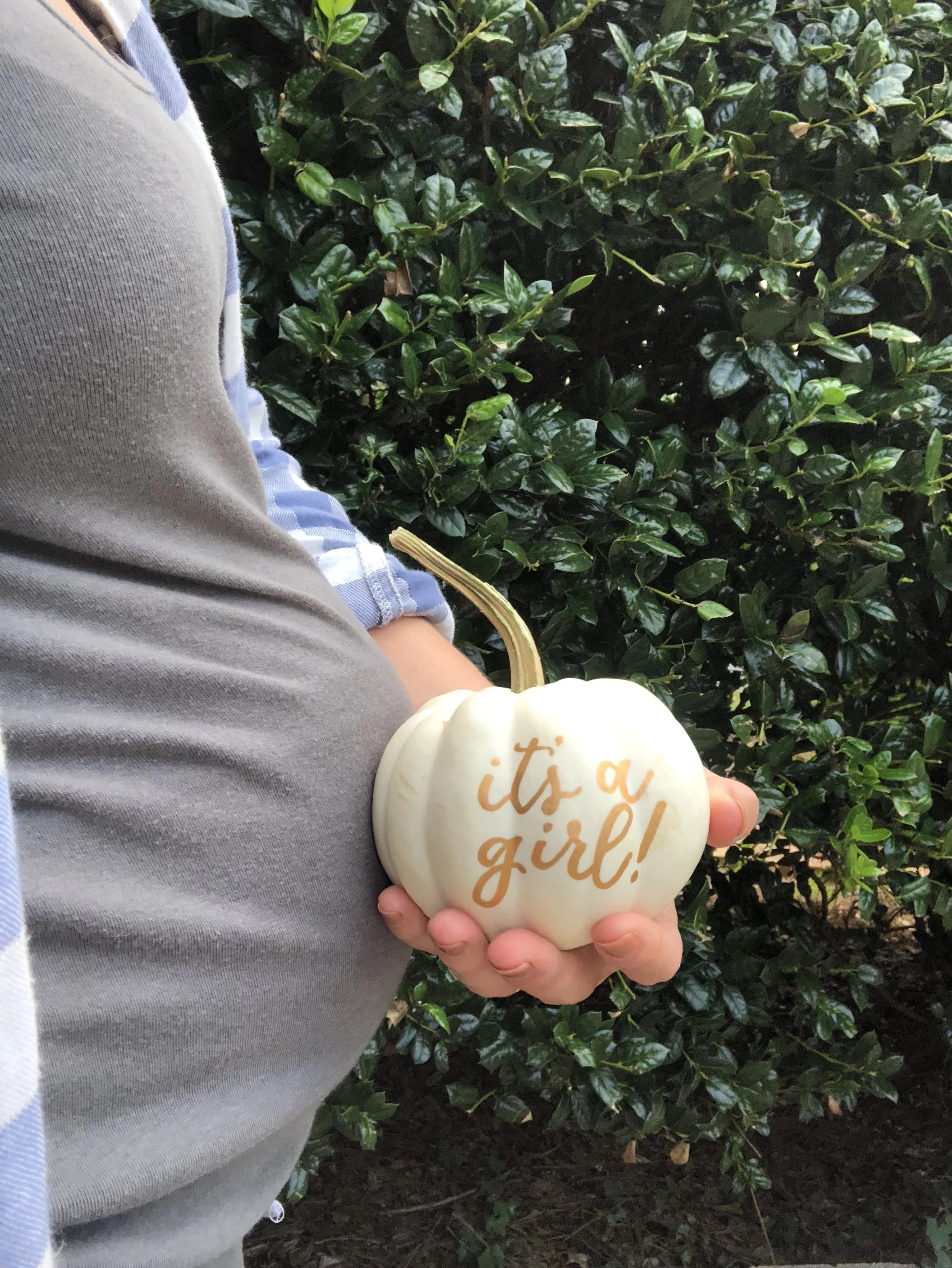 it's a girl custom pumpkin.jpg