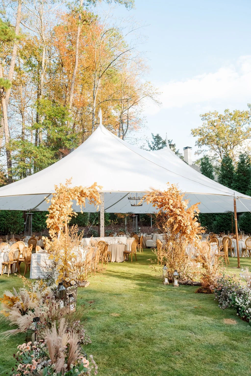 Aspen in the Backyard