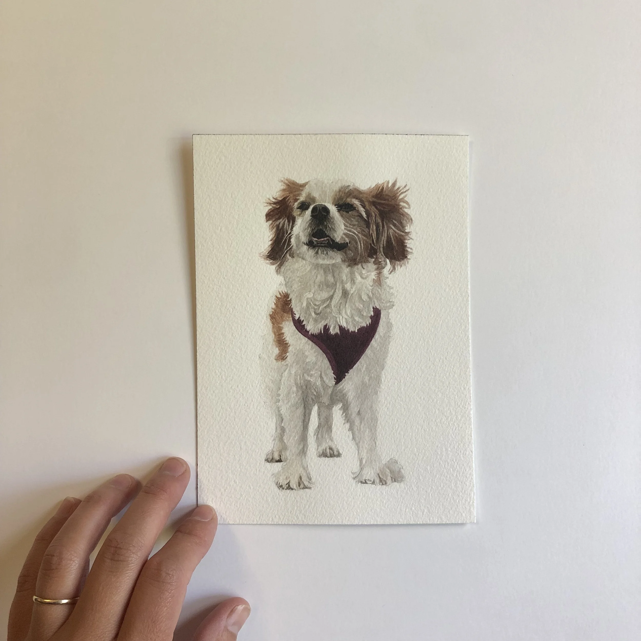 The artist displays a finished custom watercolor pet portrait of a small white and brown puppy