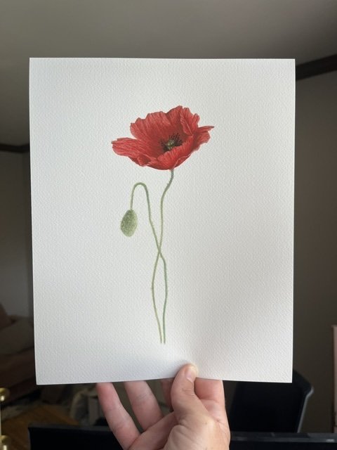 Poppy.jpeg