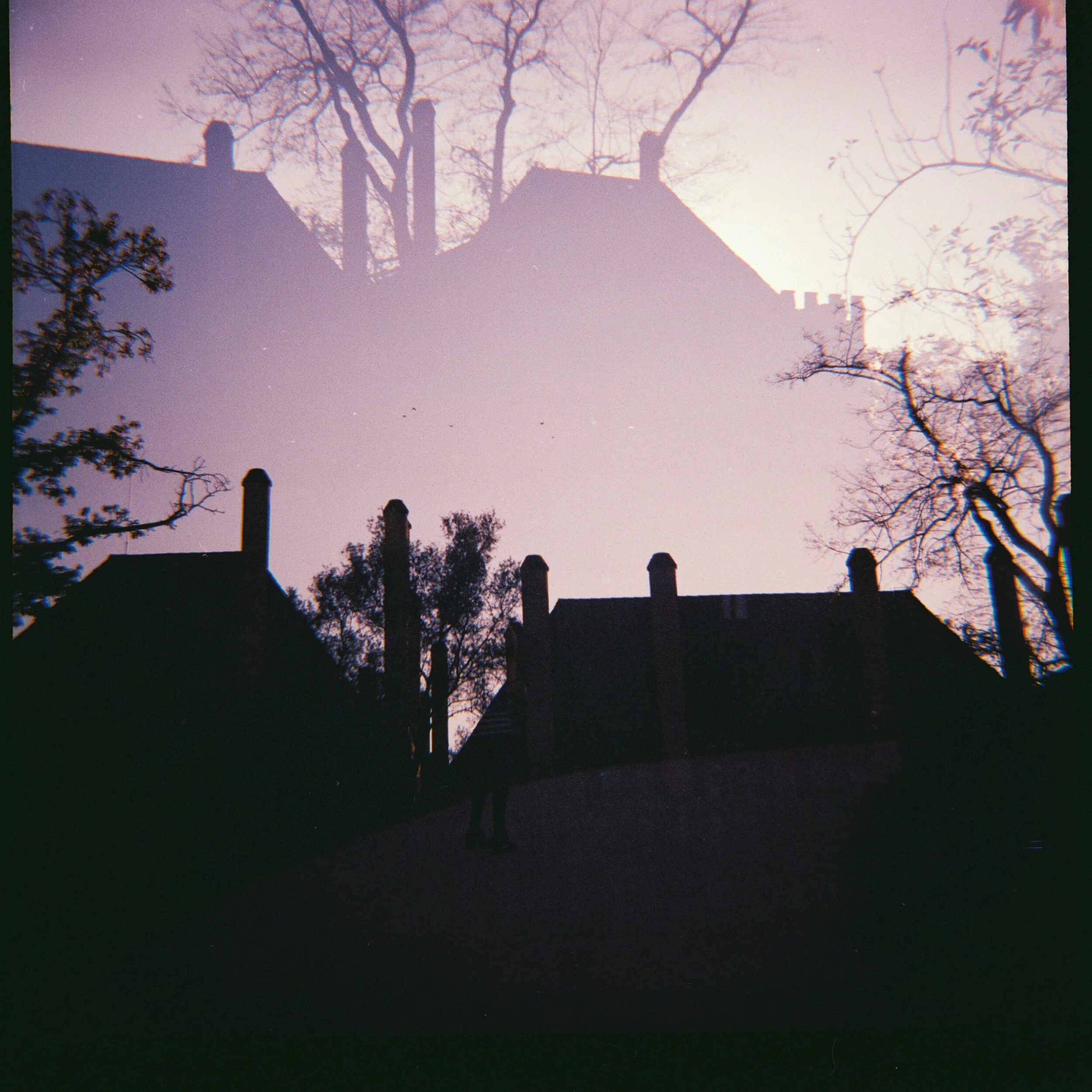 Diana F+: First Time
