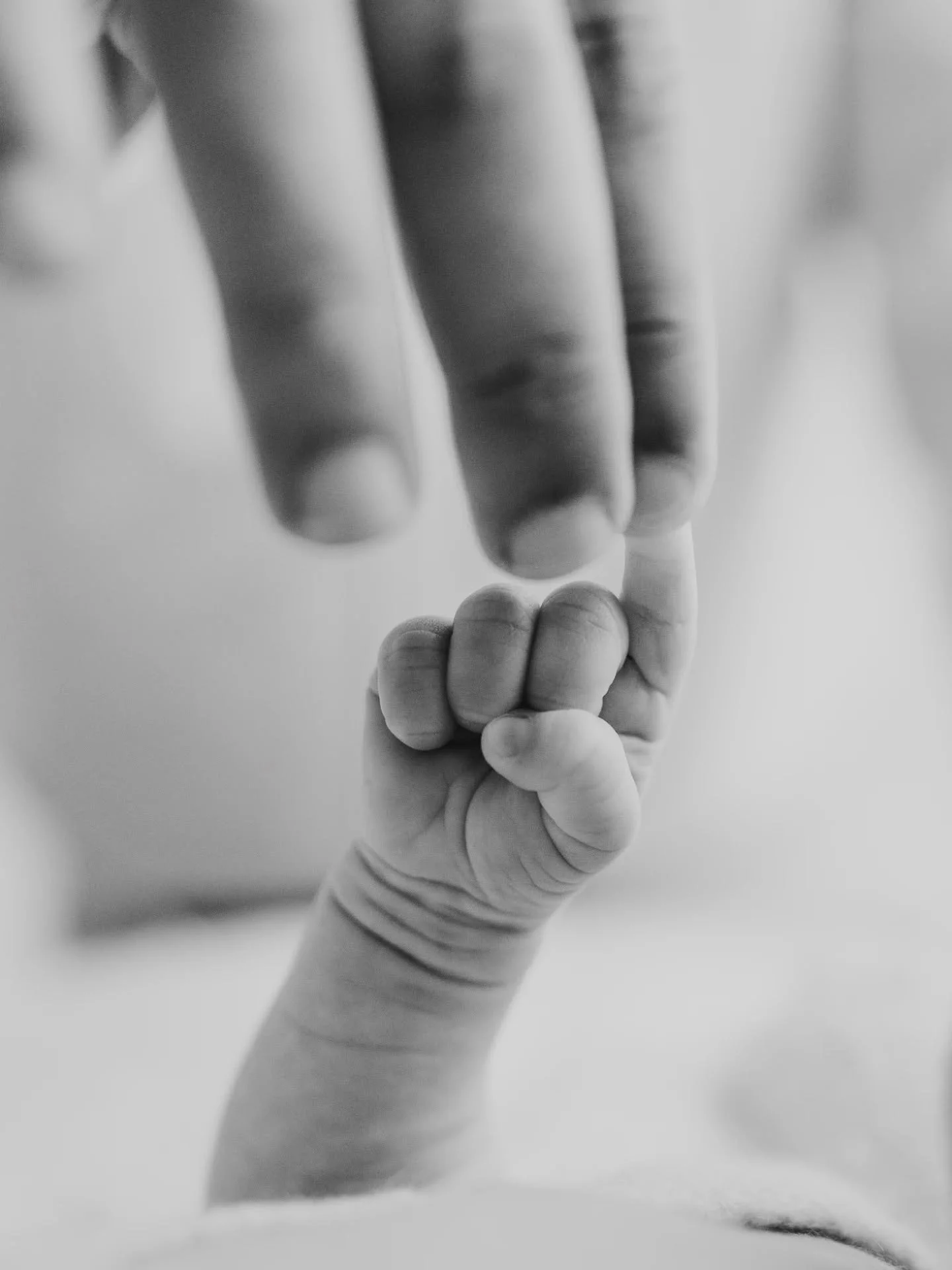 O eterno dilema: preto &amp; branco ou a cores? 
Seja qual for, perco-me sempre com estes detalhes 🤍

#soniafernandesfotografia