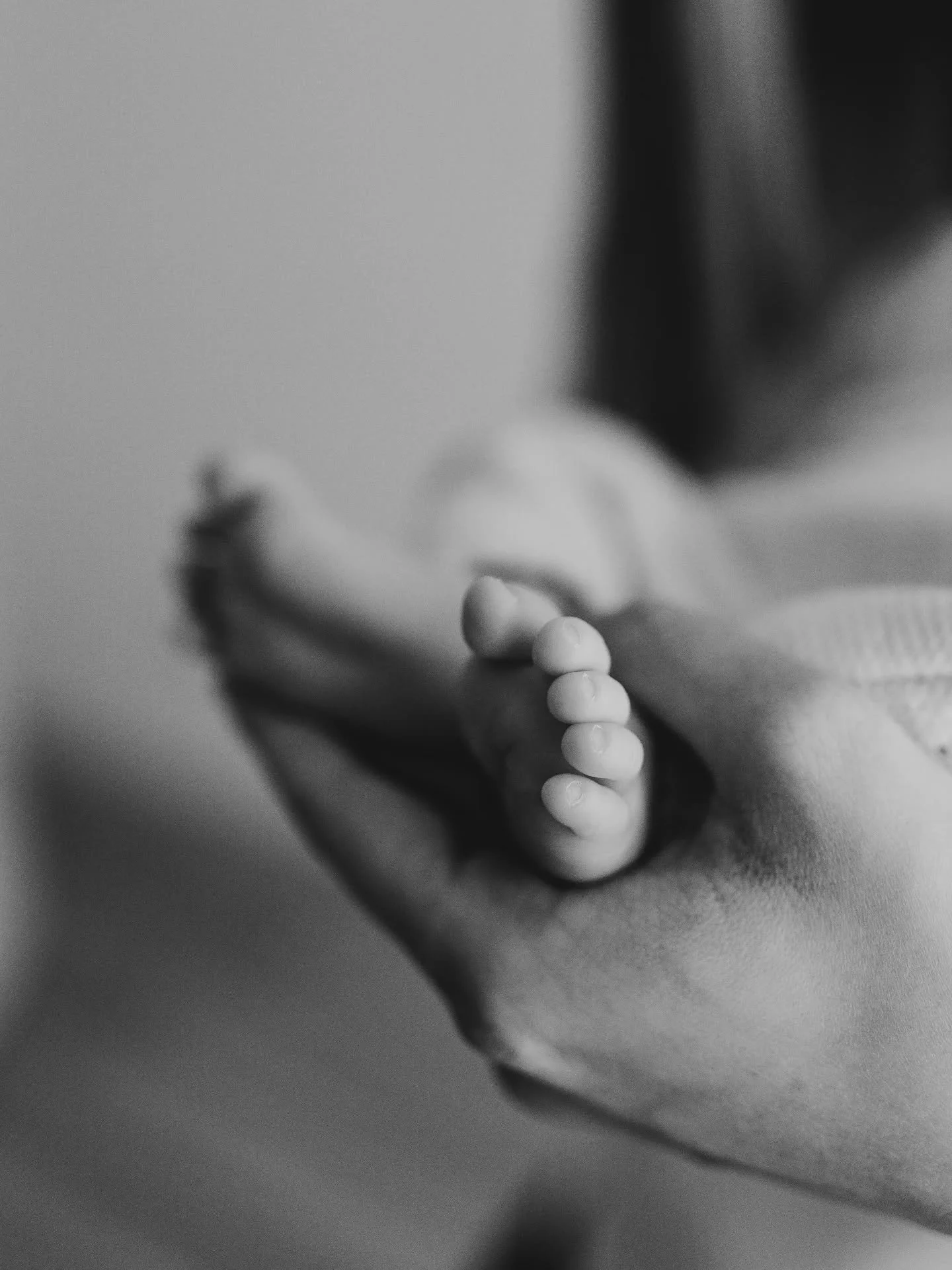 Os detalhes que nos apaixonam 🤍

#soniafernandesfotografia