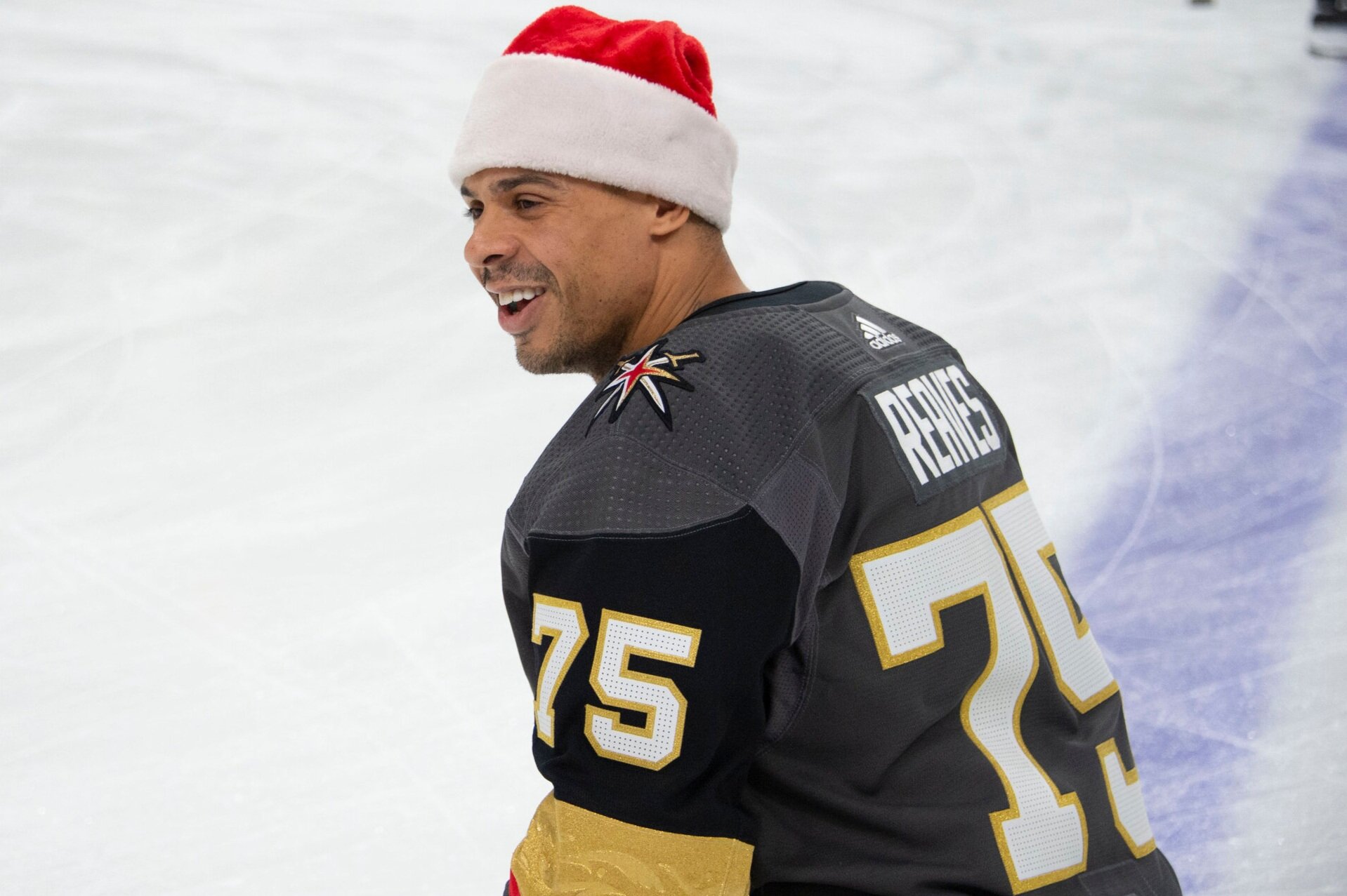 Upset That Ryan Reaves Took A Knee For Racial Equality During Anthem,  Golden Knights Season Ticket Holder Quits Watching VGK Games - LVSportsBiz