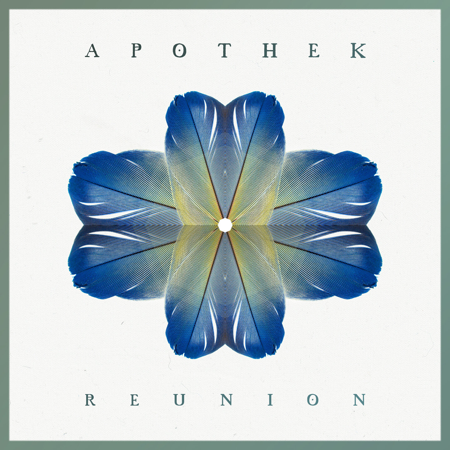 Apothek-Reunion Single_Final_1 1440x1440.jpg