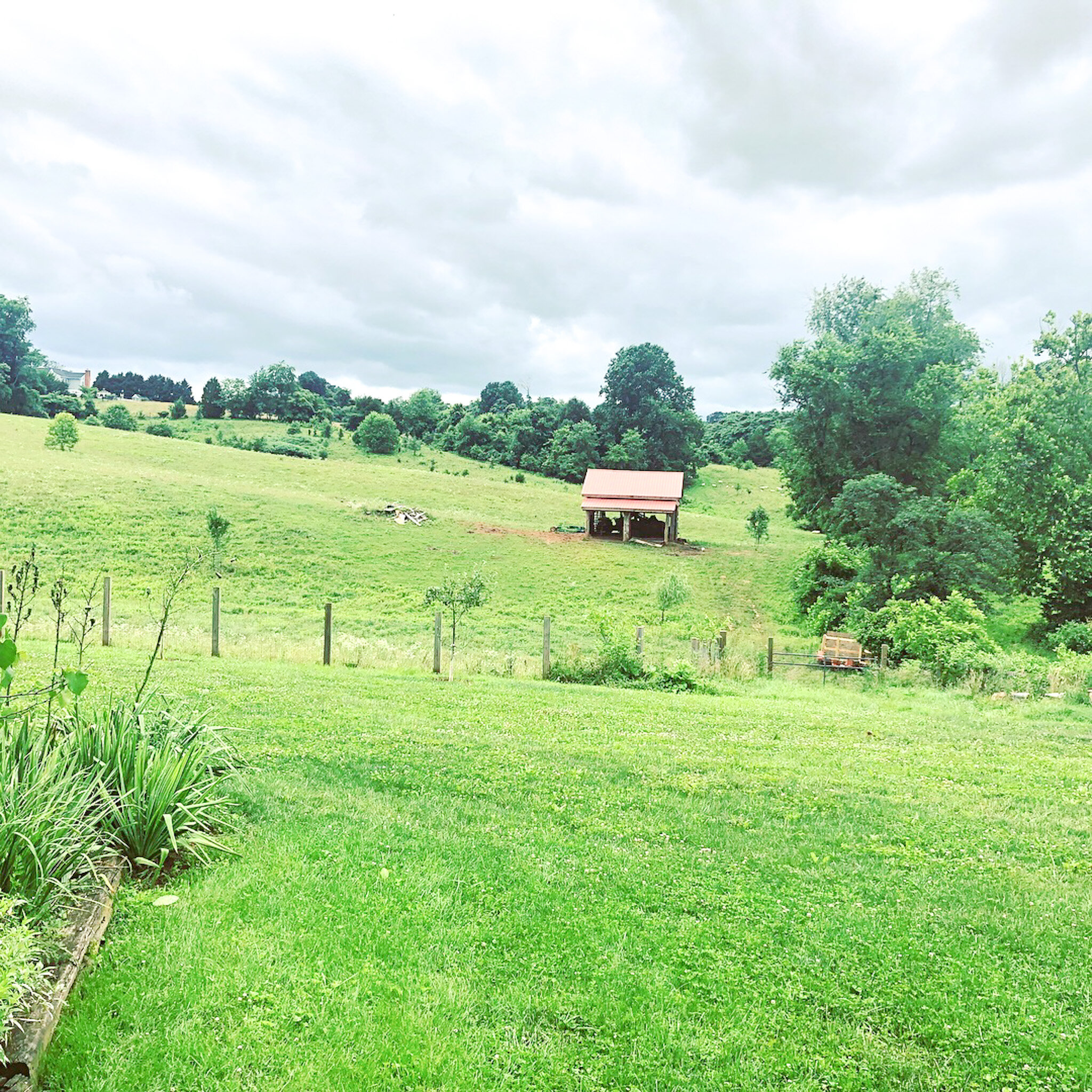 millstreambarn5.jpeg