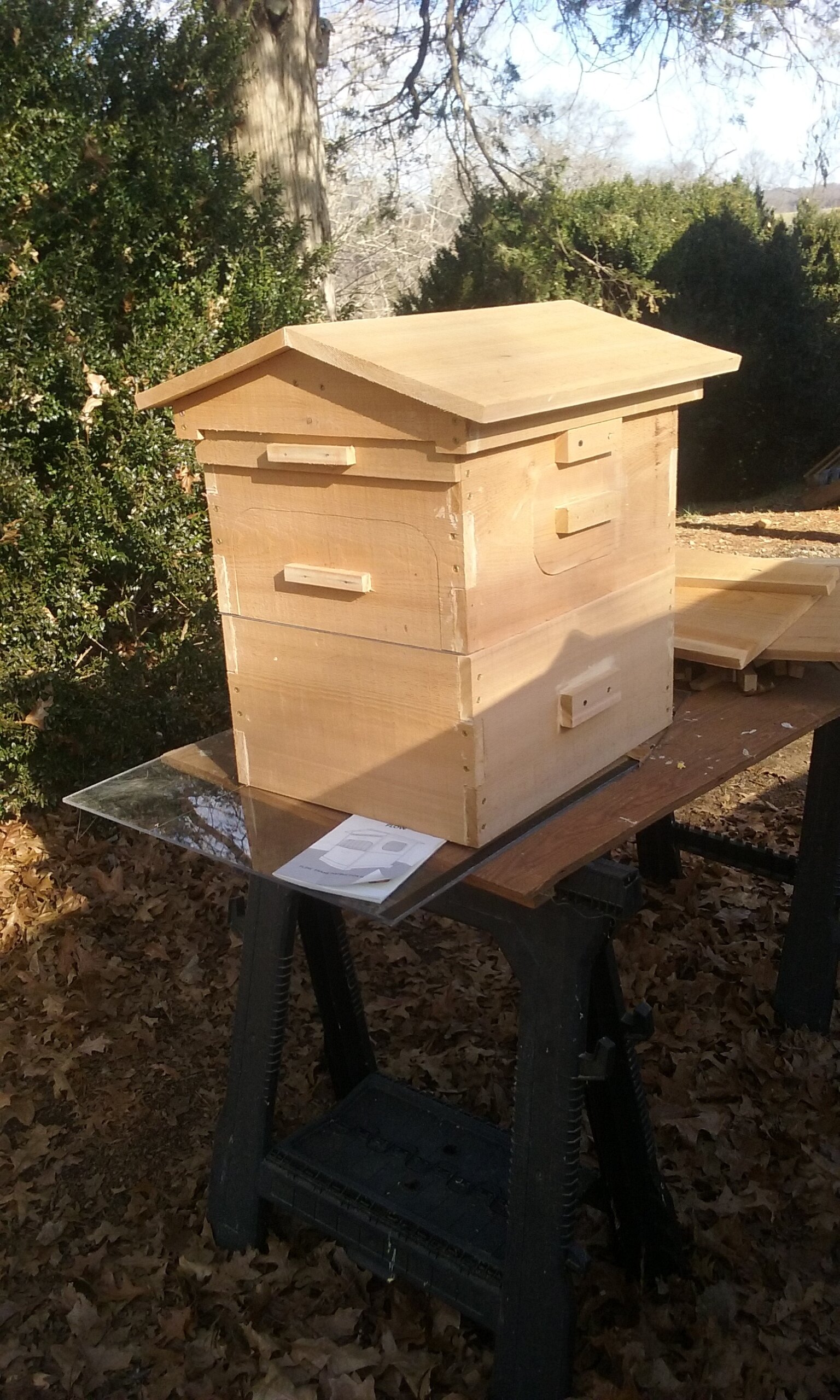 beehive.jpeg
