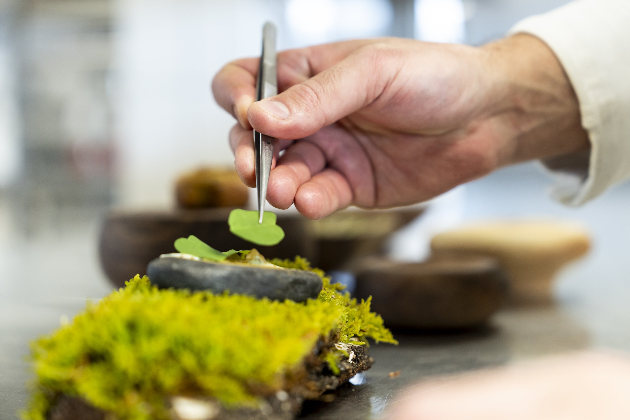 AUBERGE D'AILLON & D'AILLEURS - ©NicolasReynaud-5.jpg