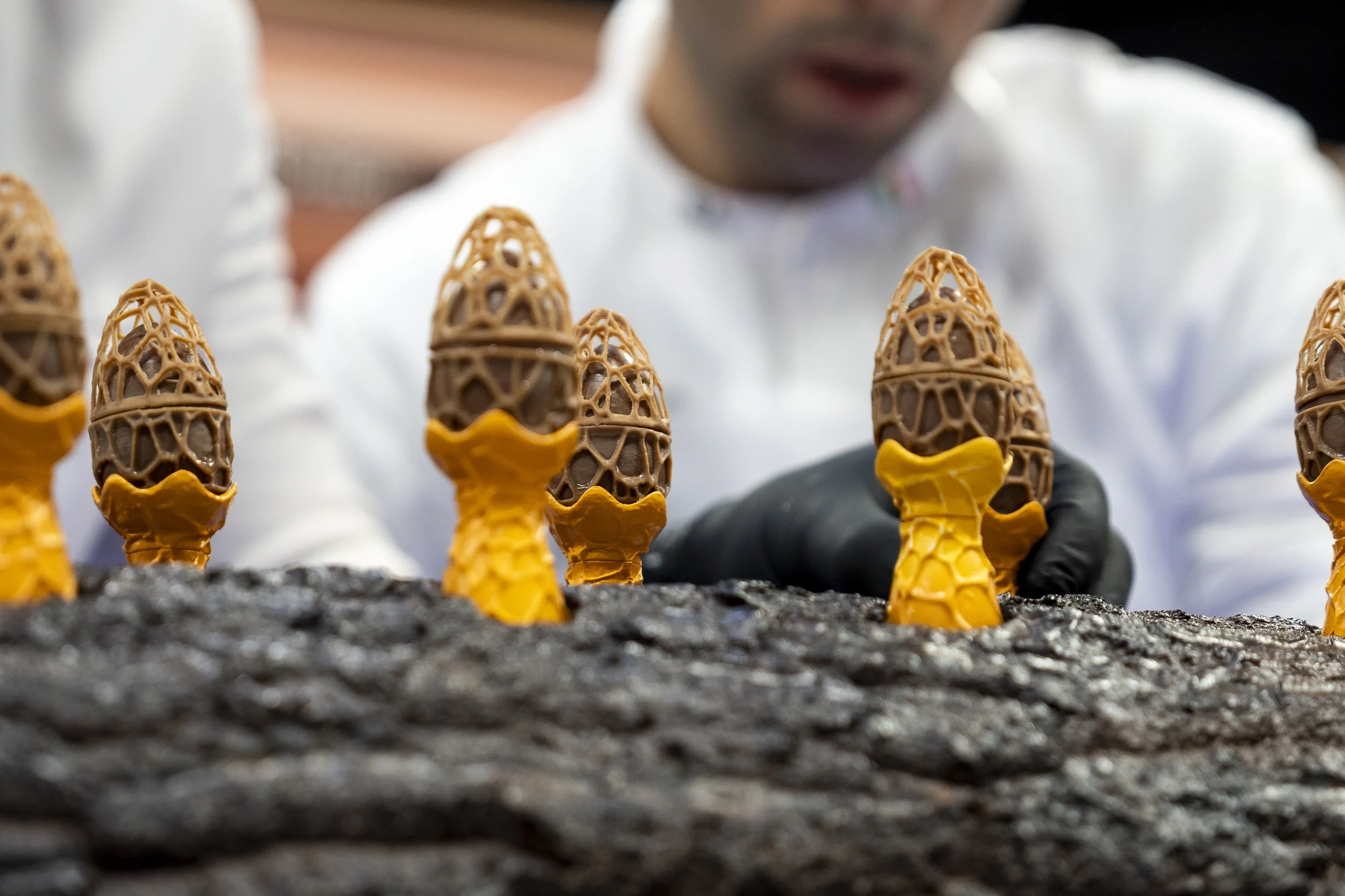 CMP EUROPE 2026 - ©NicolasReynaud-13.jpg