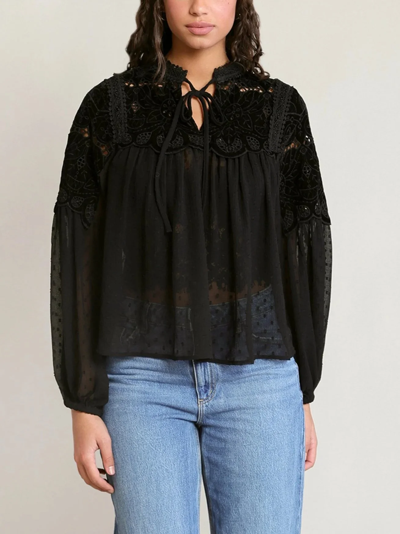 Dex Sheer Lace Blouse in Black