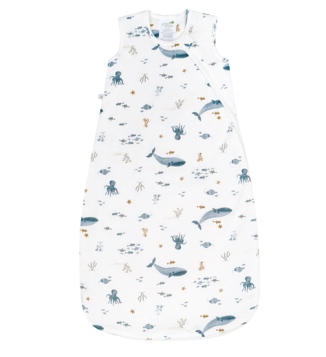 The Little Boutique Outlet — The Boutique Outlet