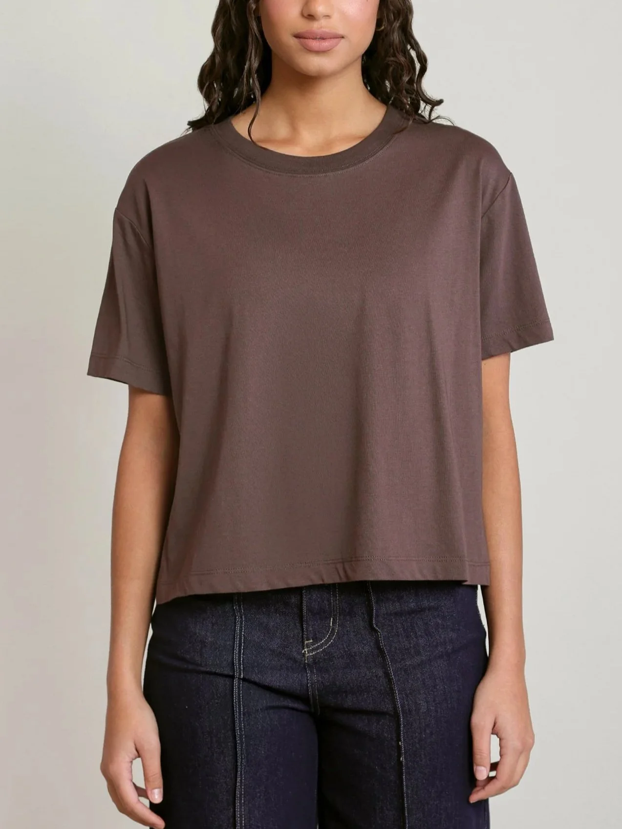 Dex Cropped Essential Tee in Brown