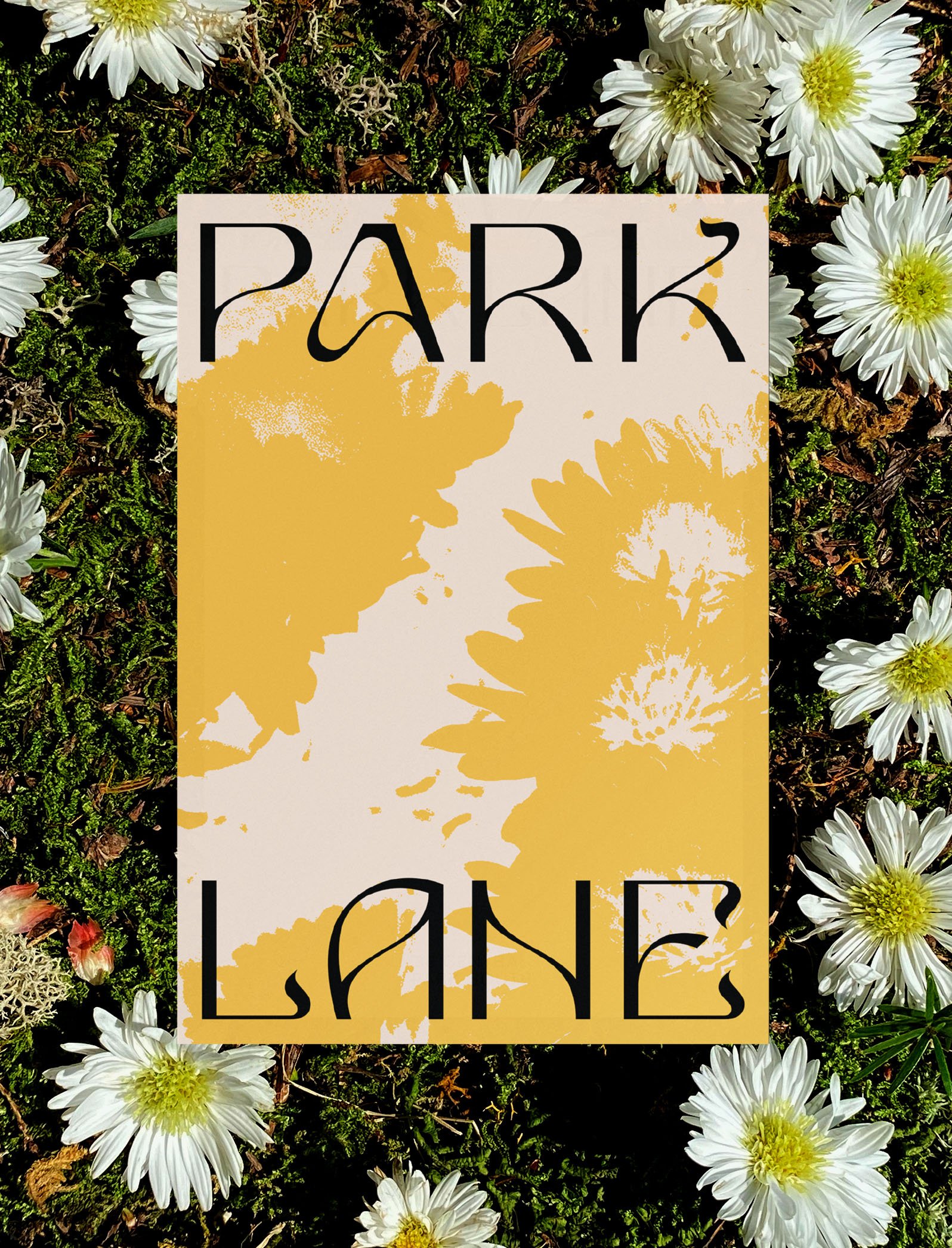 Park-Lane_Case-Study_139.jpeg