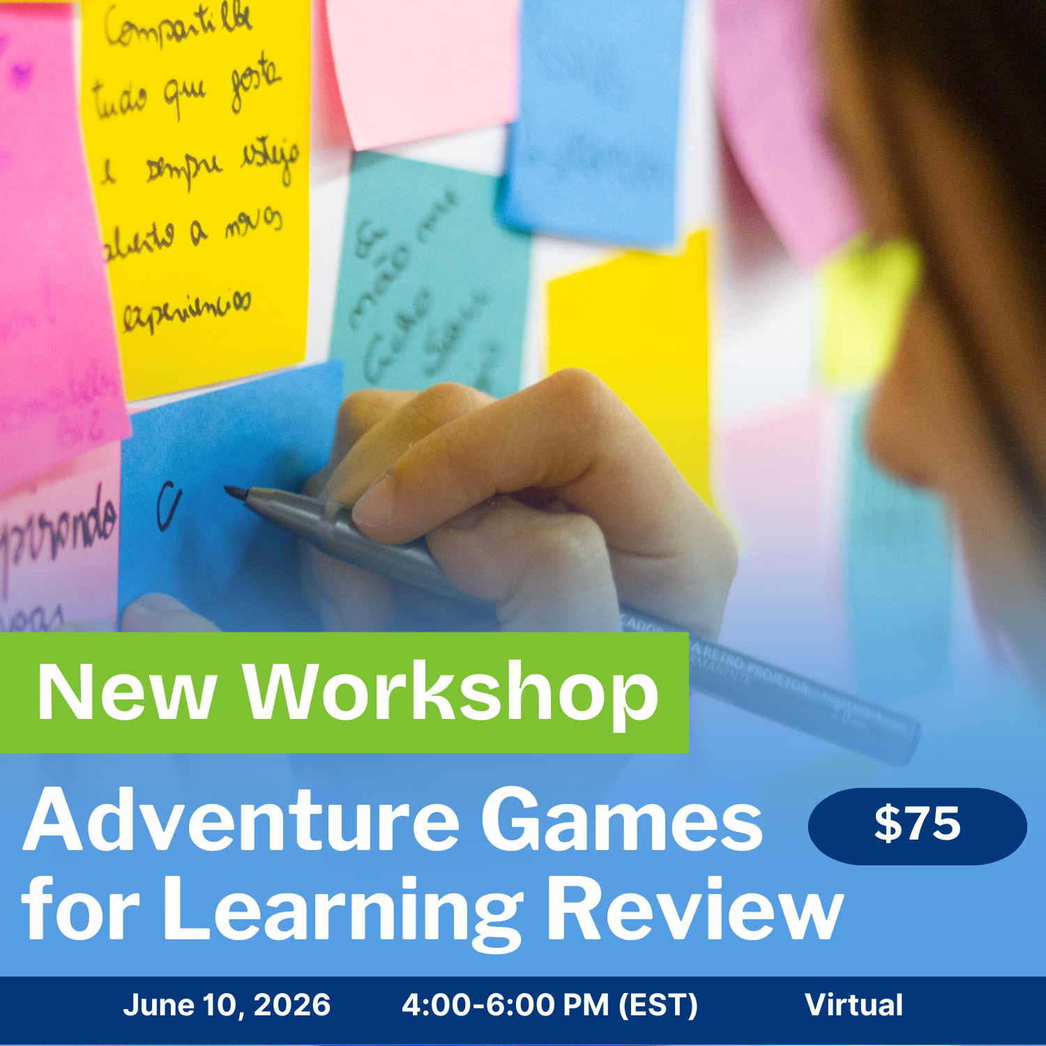 Adventure Games for Learning Review (Virtual)