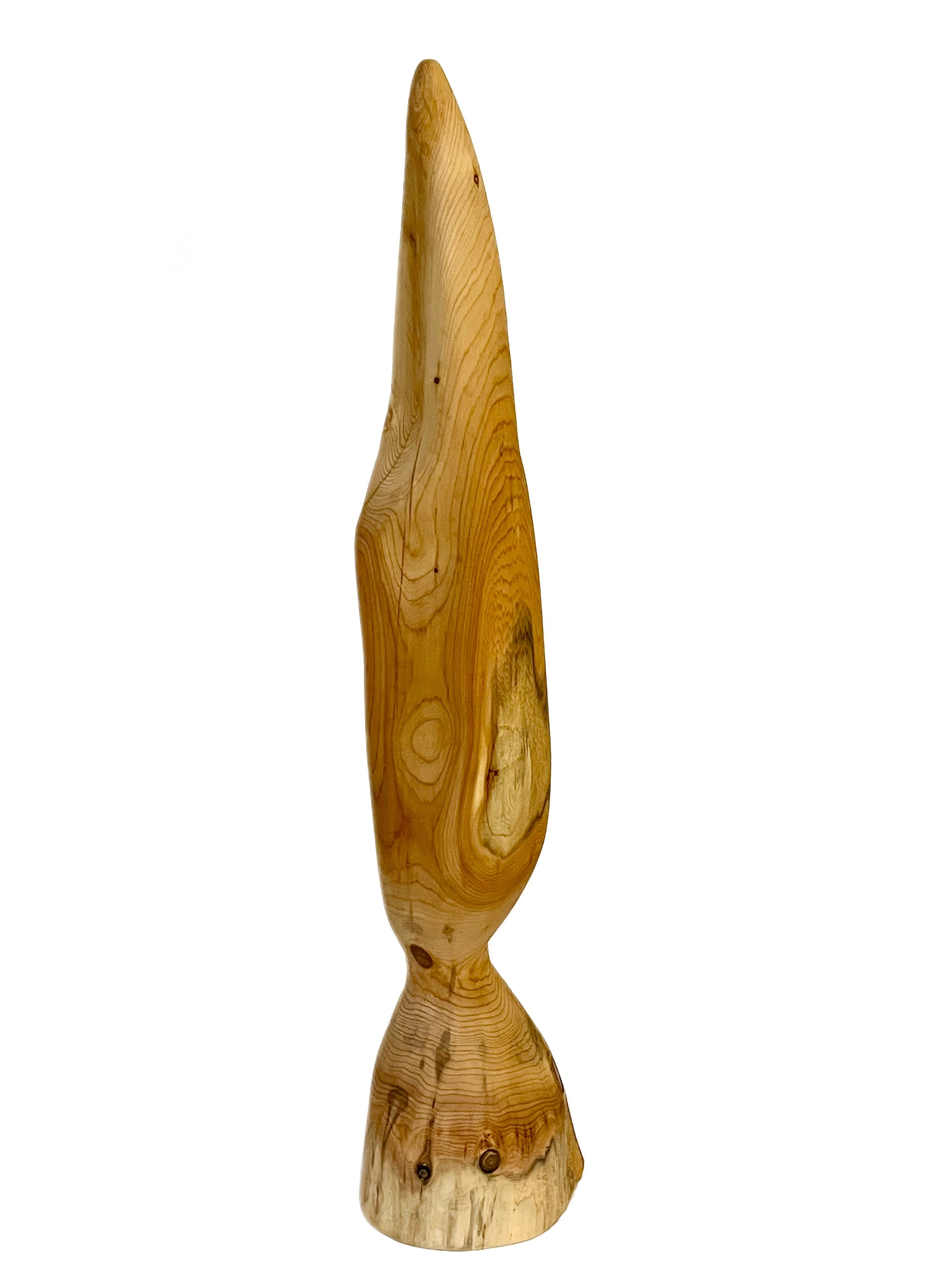 Pointer (42") Eastern White Cedar