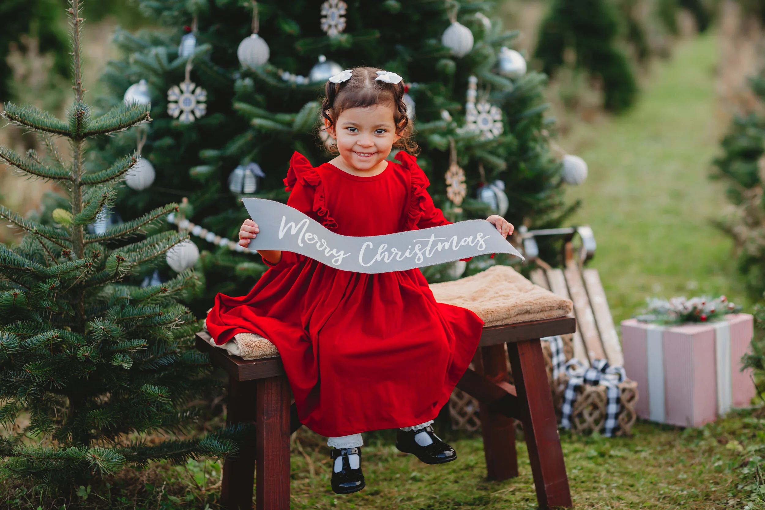 Skagit valley Tree Farm Mini Sessions 2021 🌲 